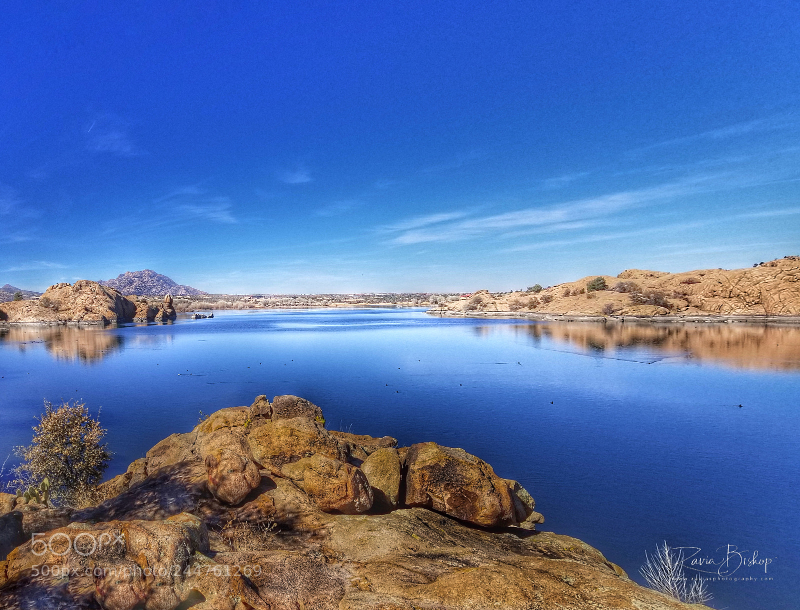 Samsung Galaxy S8+ sample photo. Willow lake photography