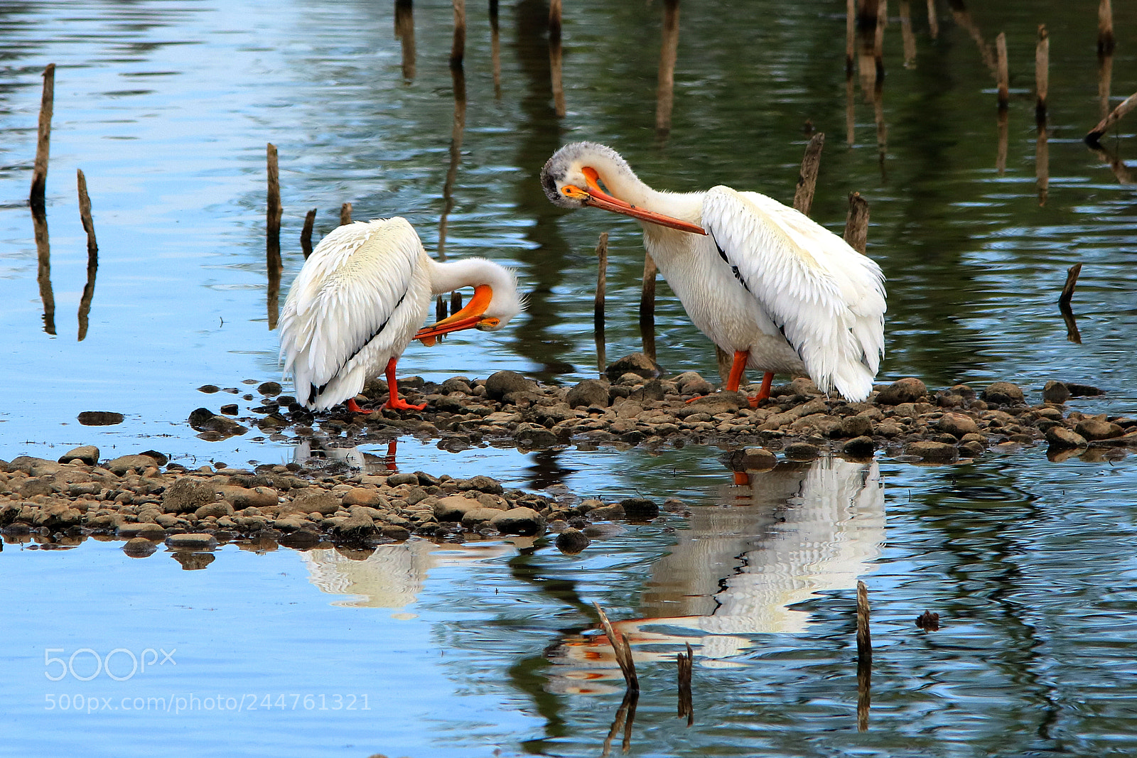 Canon EOS 760D (EOS Rebel T6s / EOS 8000D) sample photo. Ablutions photography