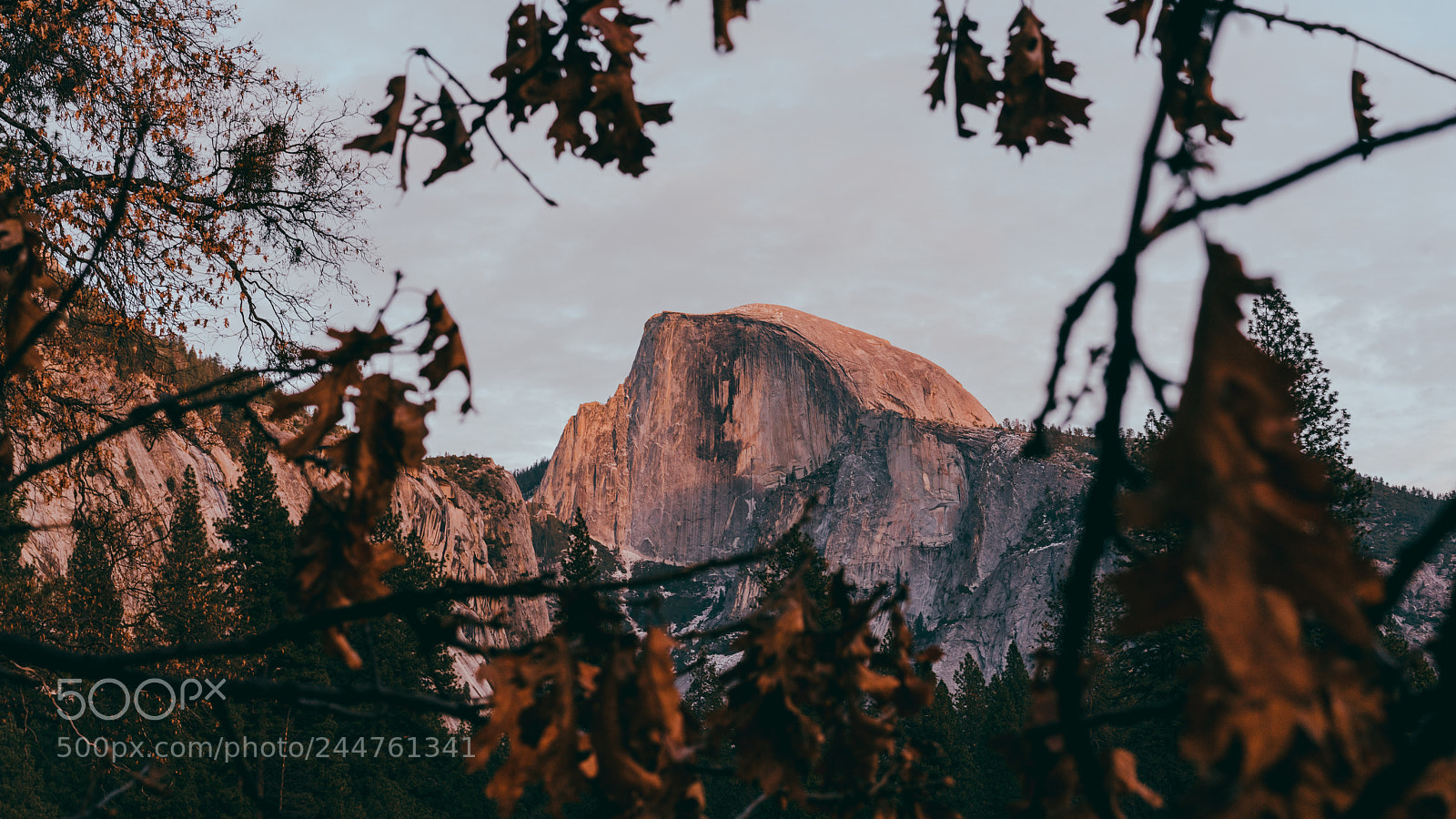 Sony a7R II sample photo. Dsc photography