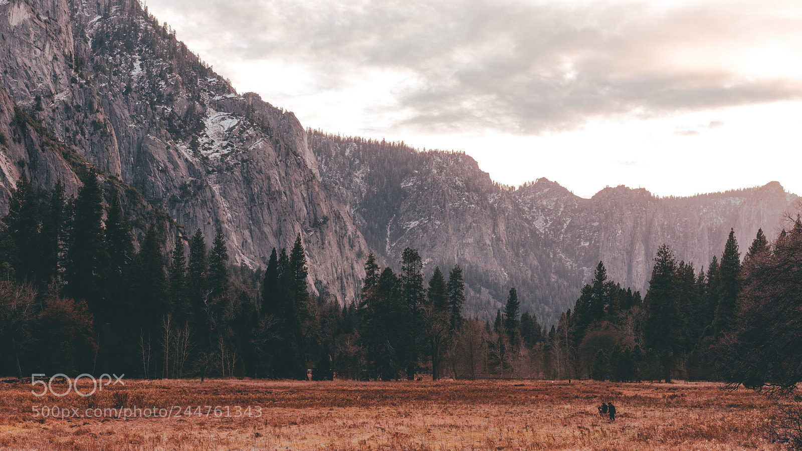 Sony a7R II sample photo. Dsc photography