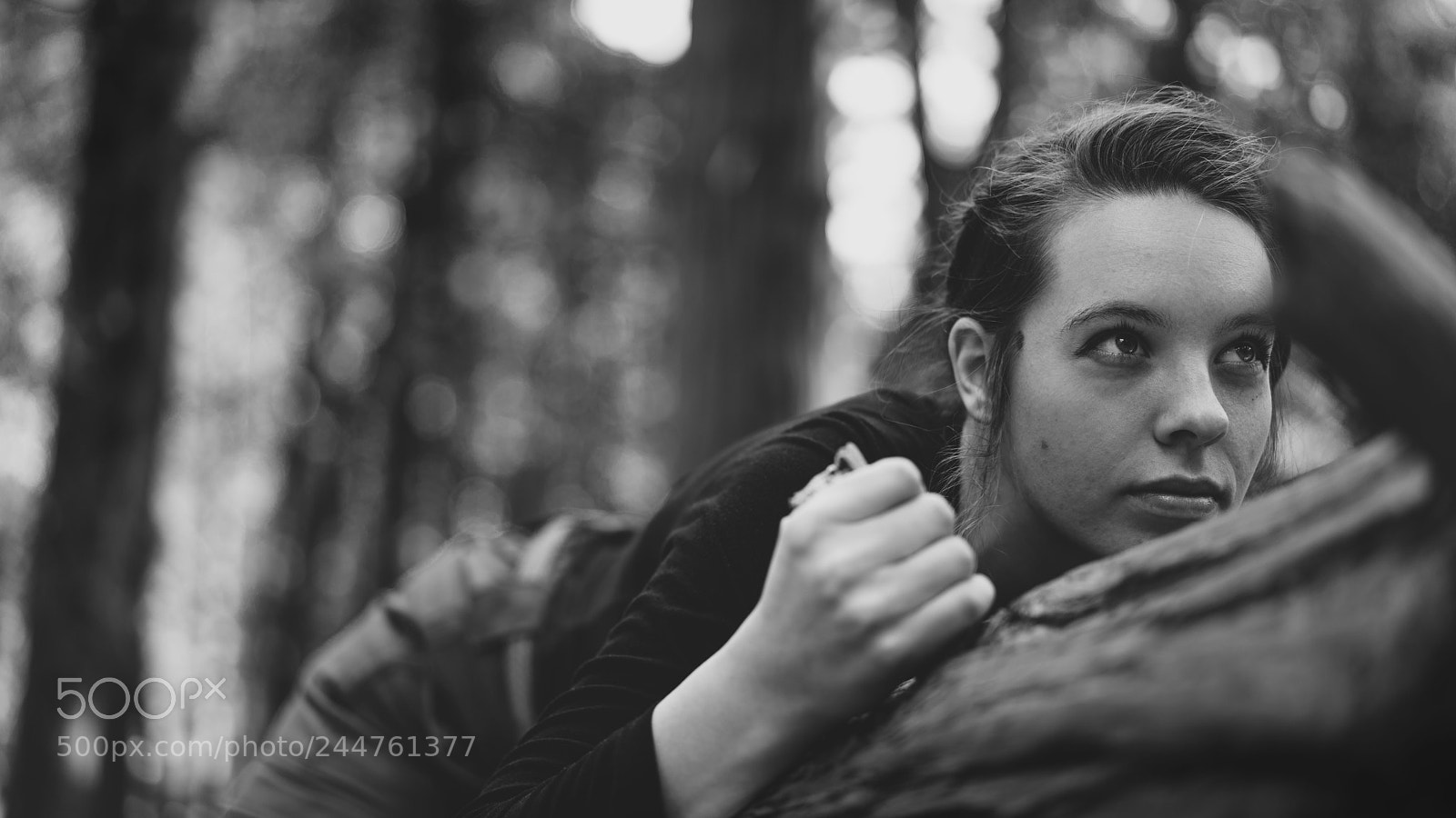 Sony a7R II sample photo. Dsc photography