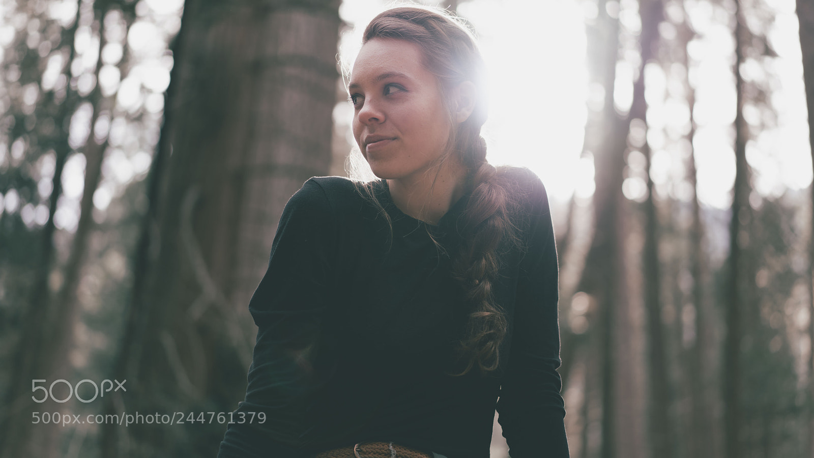 Sony a7R II sample photo. Dsc photography