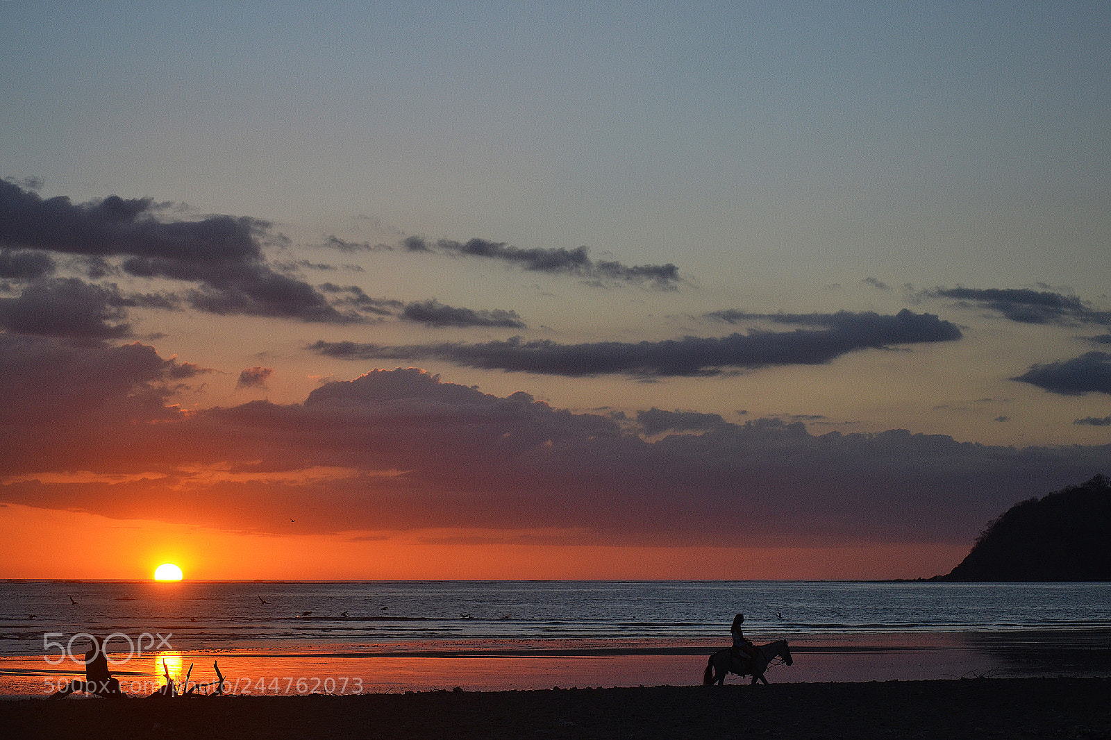Nikon D3100 sample photo. Sunset photography