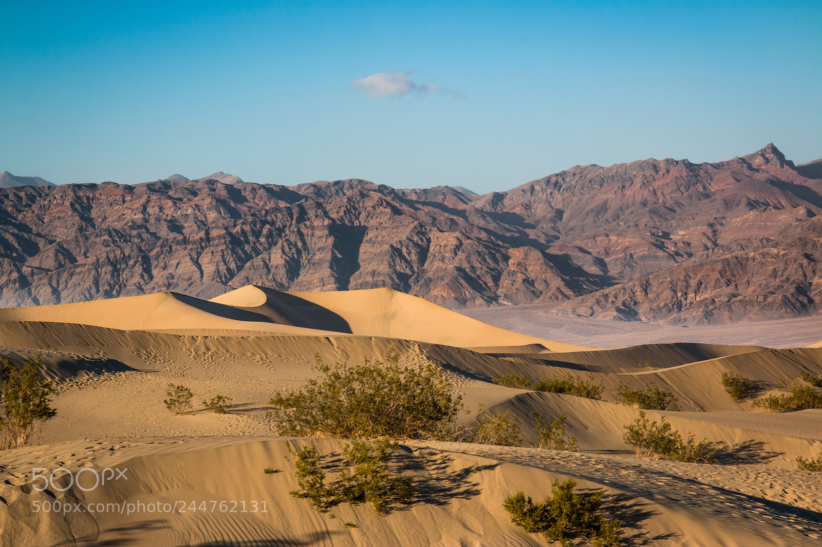 Canon EOS 70D sample photo. Mesquite flat sand dunes photography