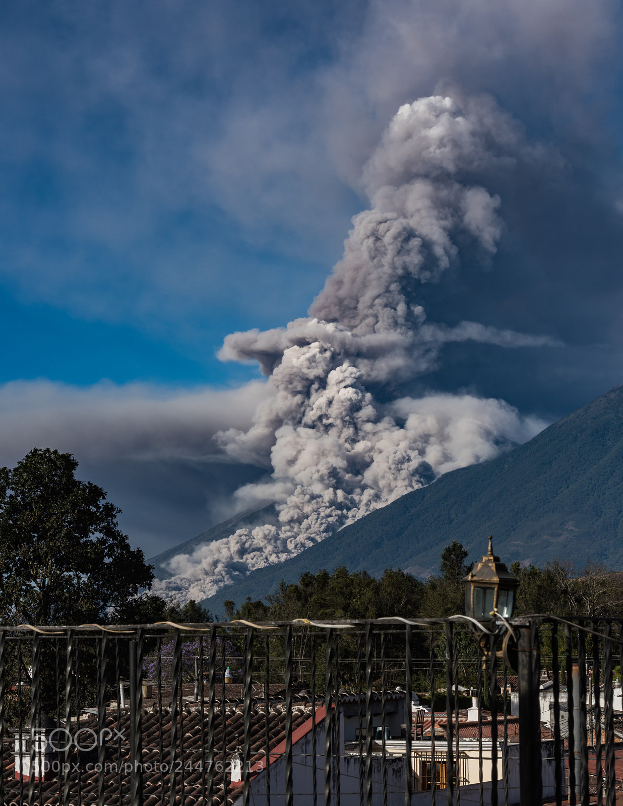Nikon D810 sample photo. Fuego in action photography