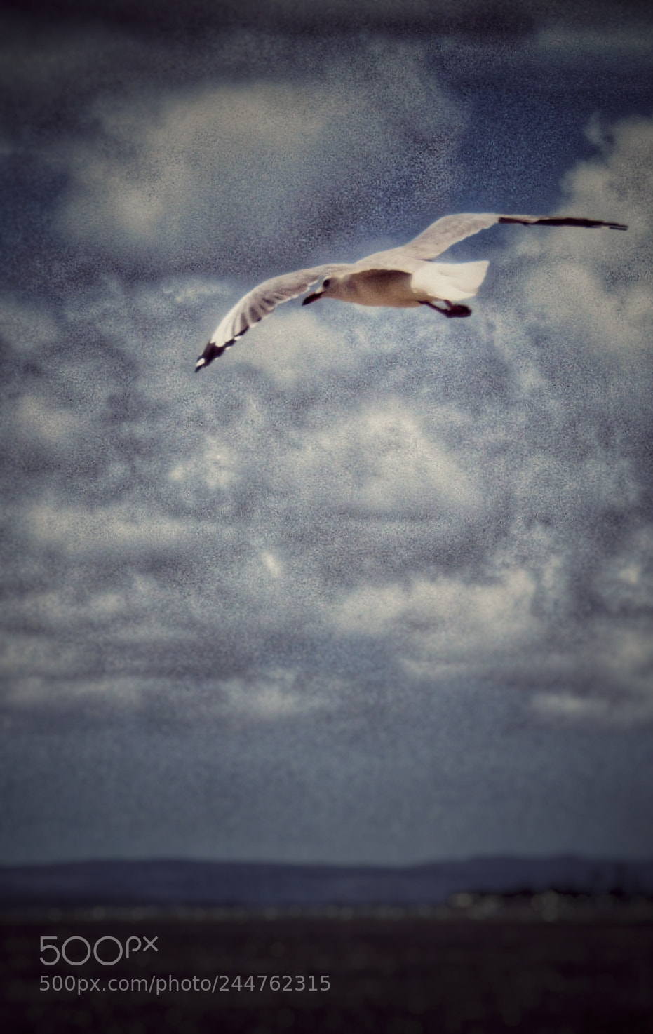 Canon POWERSHOT SX430 IS sample photo. Trying to save a photography