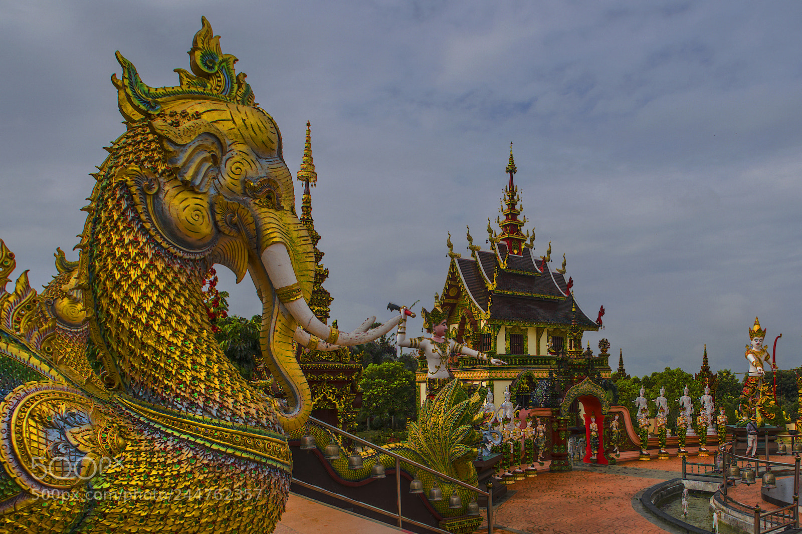 Nikon D850 sample photo. Zoologie siamoise photography