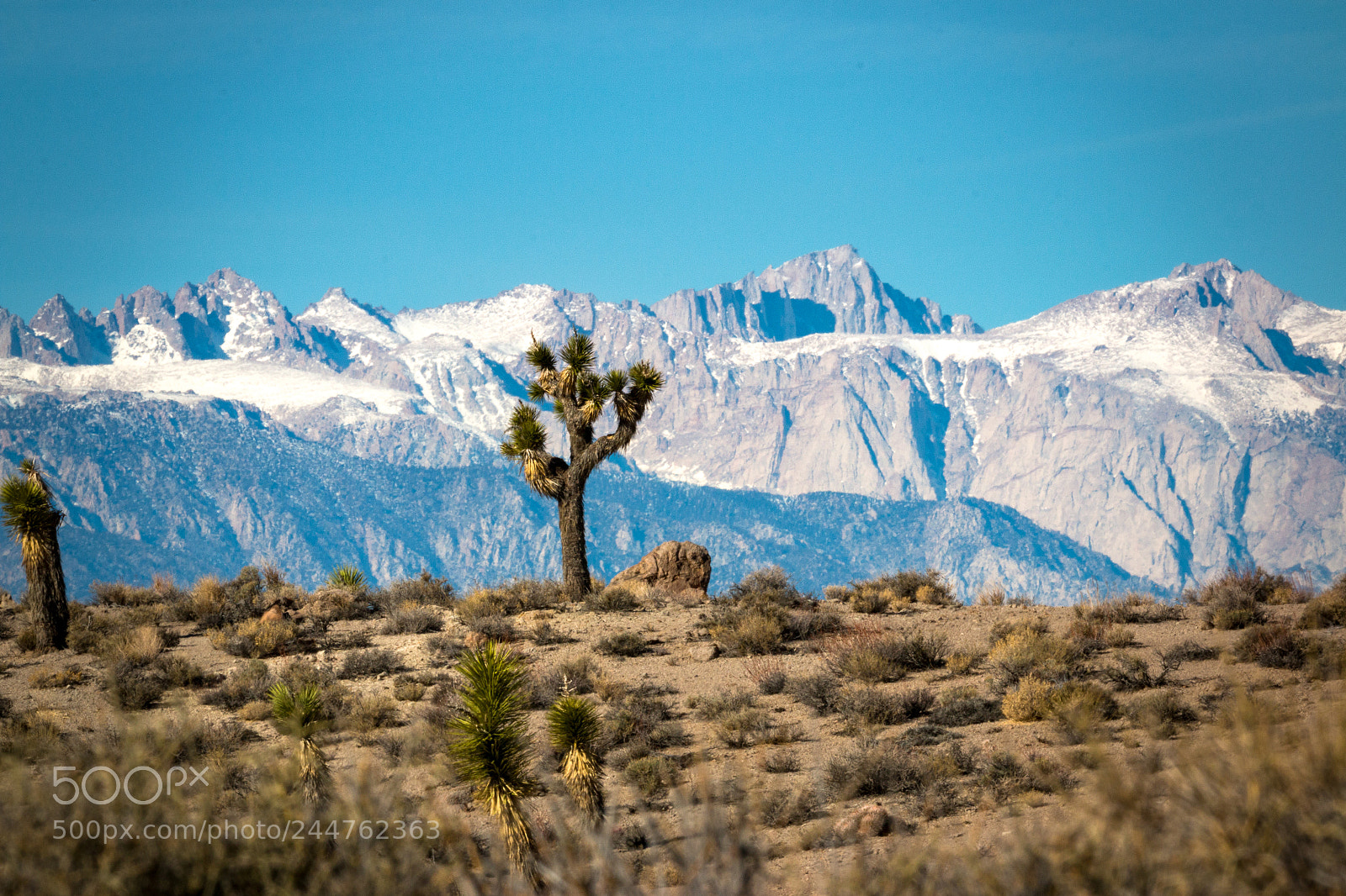 Canon EOS 70D sample photo. Where the desert meets photography