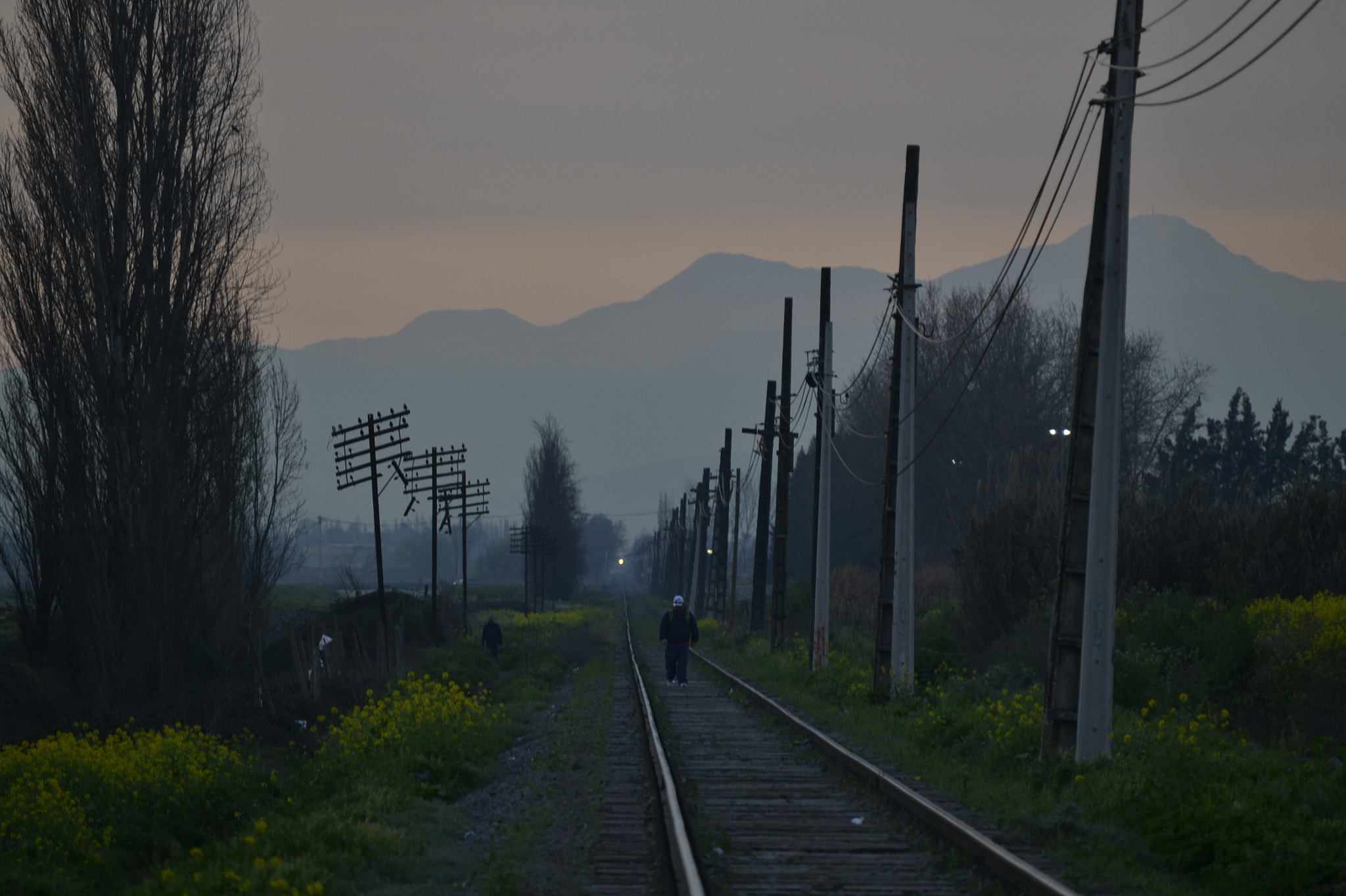 Nikon D3100 sample photo. 37194993855 photography