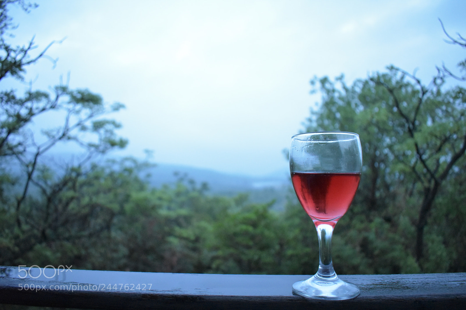 Nikon D3400 sample photo. Glass of wine on photography