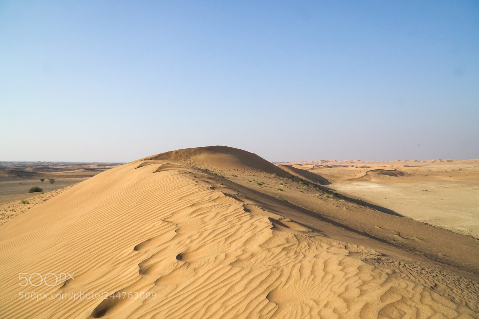 Sony a6500 sample photo. Dubai (von ) photography