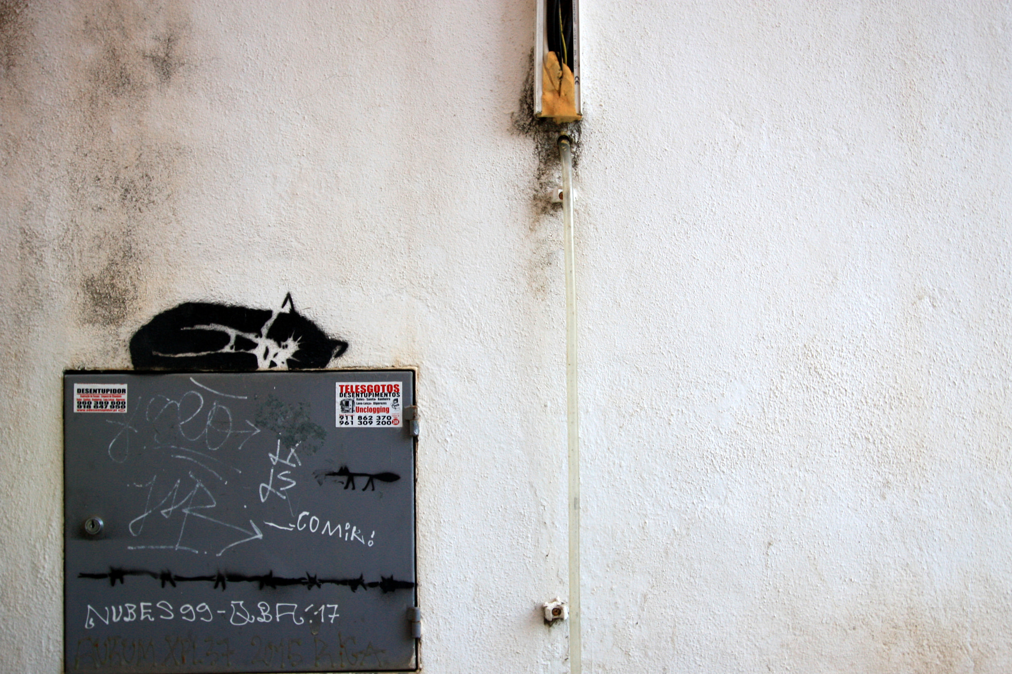 Canon EF-S 10-22mm F3.5-4.5 USM sample photo. Sleeping cat photography