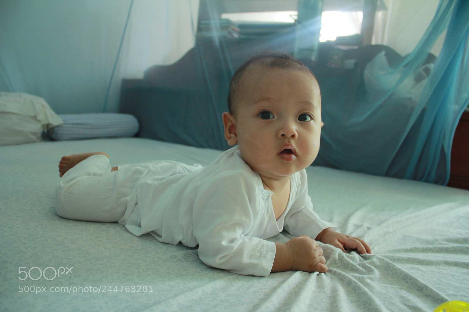 Canon EOS 60D sample photo. Nguy n ho ng photography