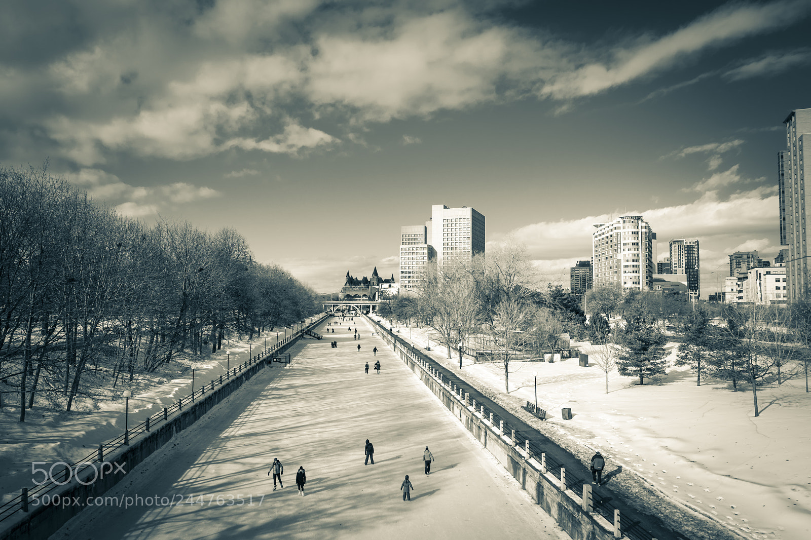 Nikon D500 sample photo. Ottawa, ontario canada photography