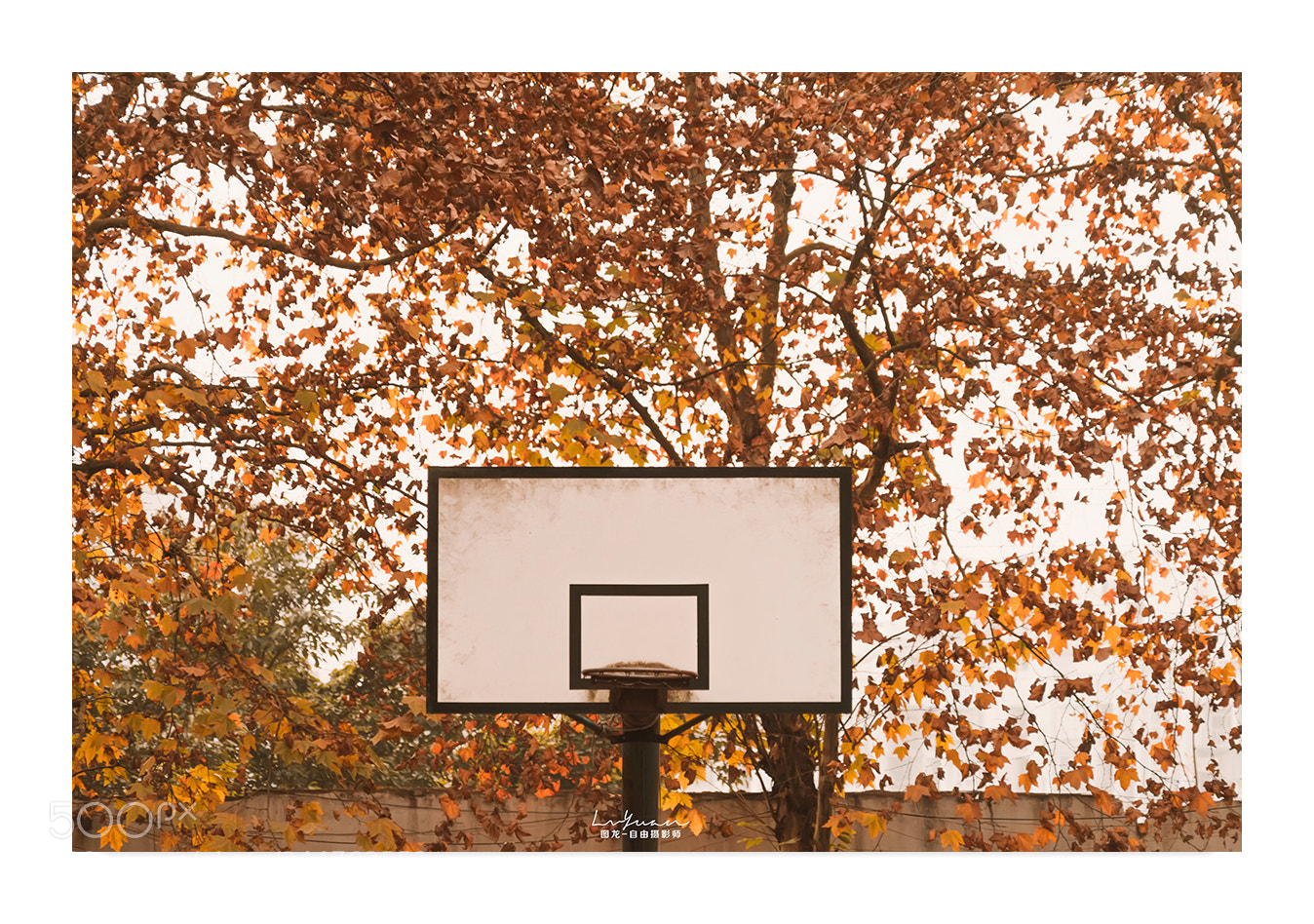 Sony a7 II sample photo. Untitled photography