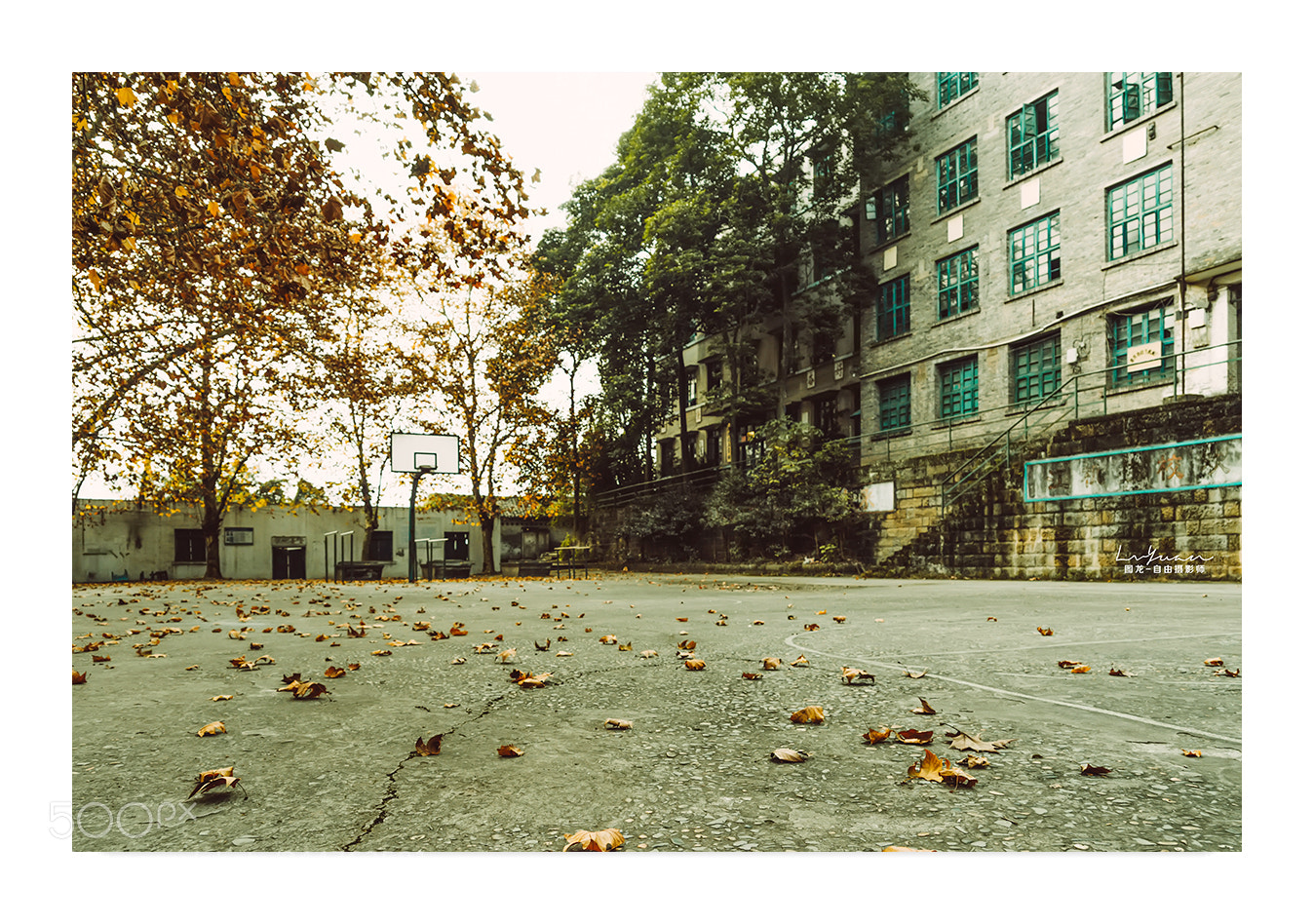Sony a7 II sample photo. Untitled photography
