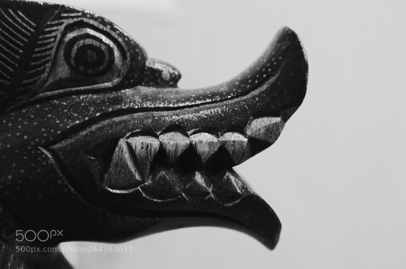 Fujifilm FinePix X100 sample photo. Chinese dragon photography