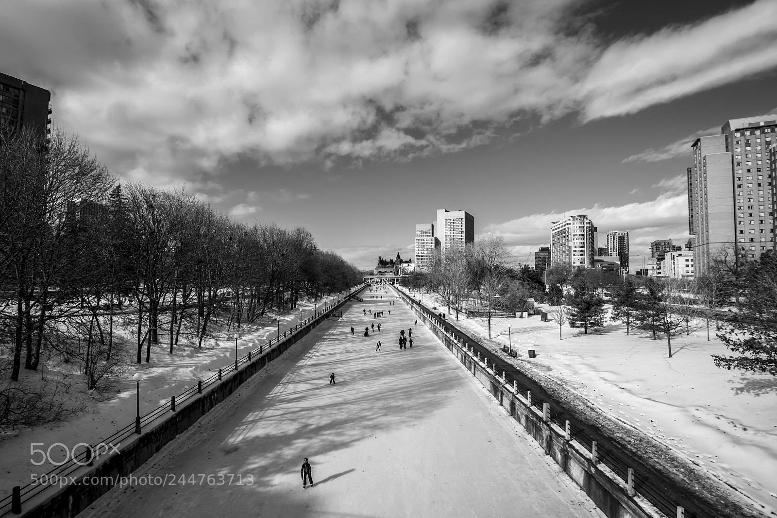 Nikon D500 sample photo. Ottawa, ontario canada photography