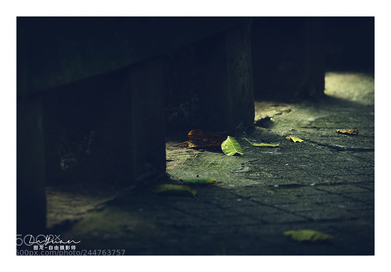Sony a7 II sample photo. Untitled photography