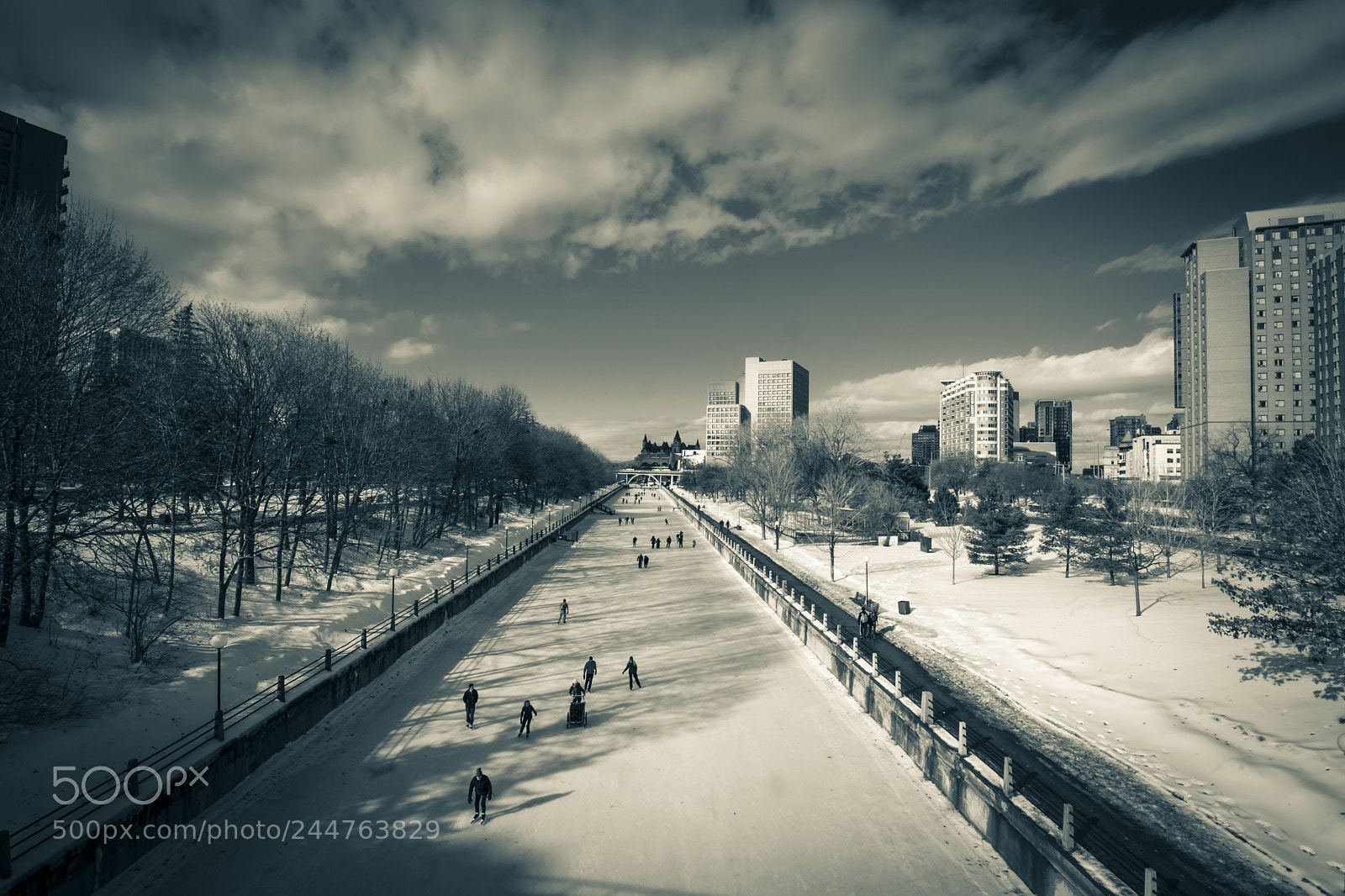 Nikon D500 sample photo. Ottawa, ontario canada photography