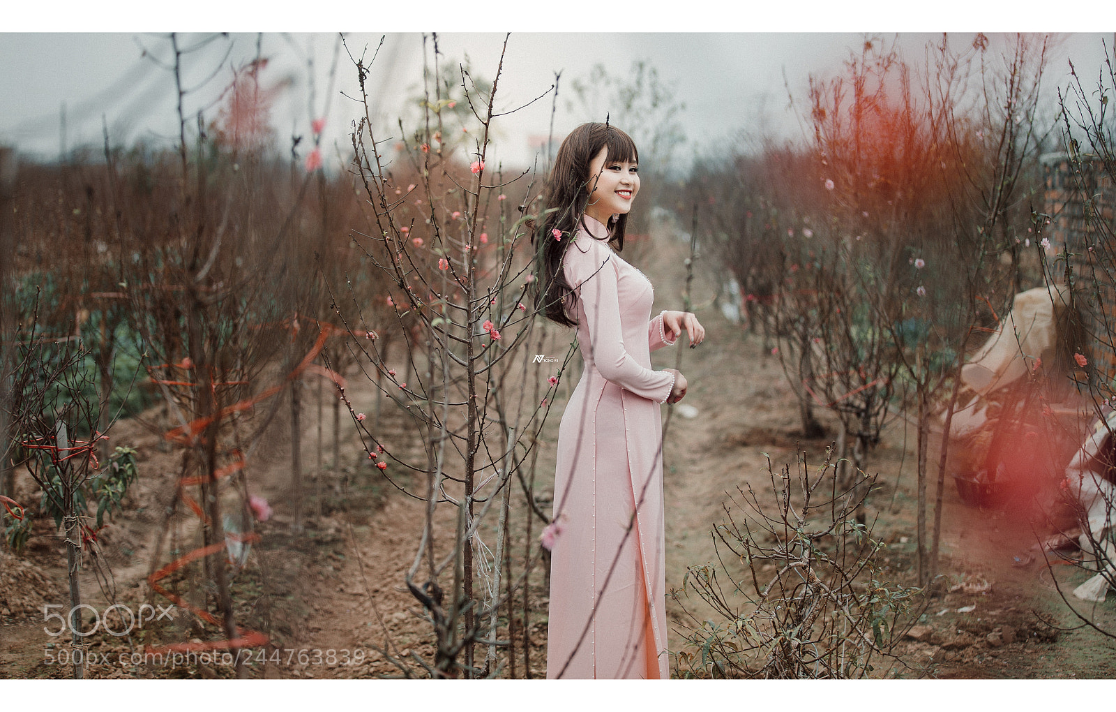 Canon EOS-1D X sample photo. Vux photography
