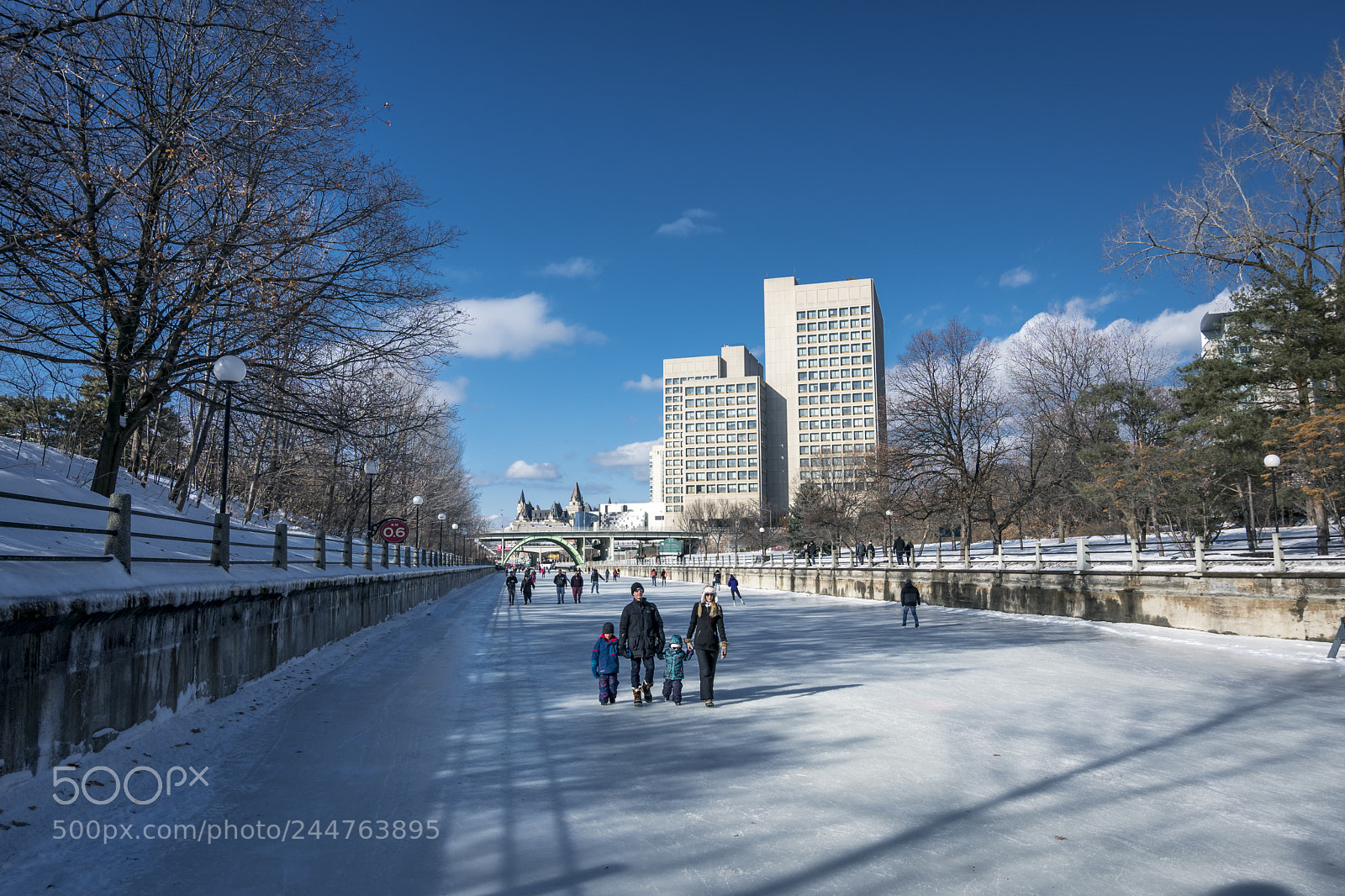 Nikon D500 sample photo. Ottawa, ontario canada photography