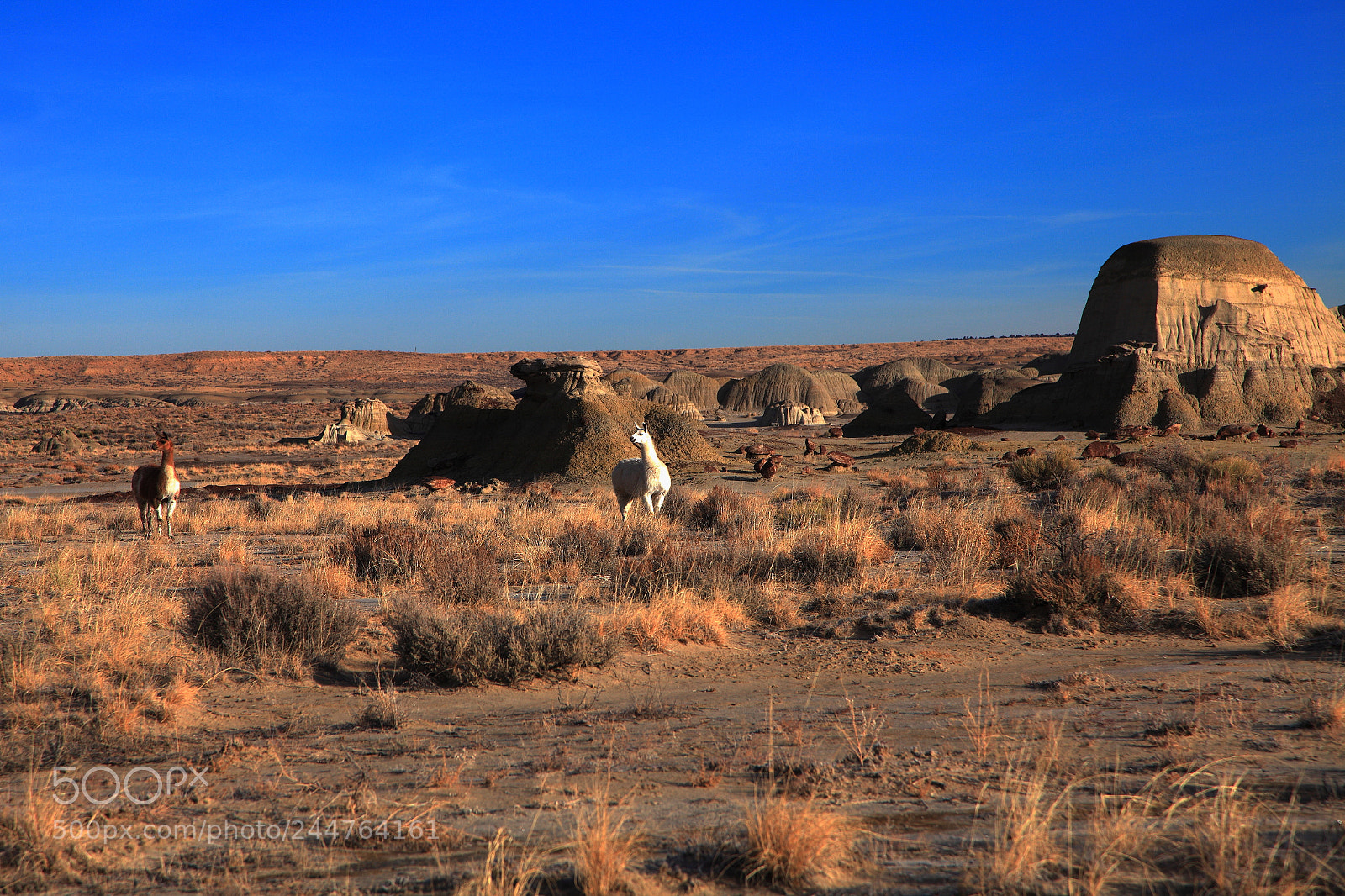 Canon EF 24-105mm F4L IS USM sample photo. Dream of valley wilderness photography