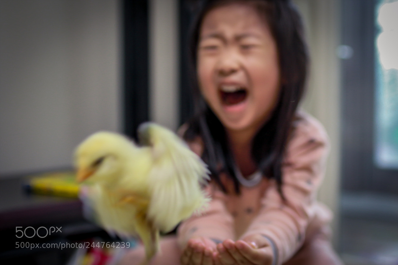 Canon EOS 7D Mark II sample photo. Birds fear photography