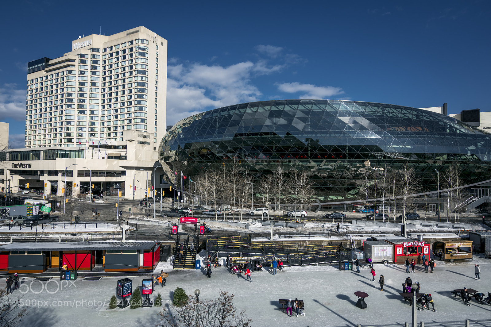 Nikon D500 sample photo. Ottawa, ontario canada photography