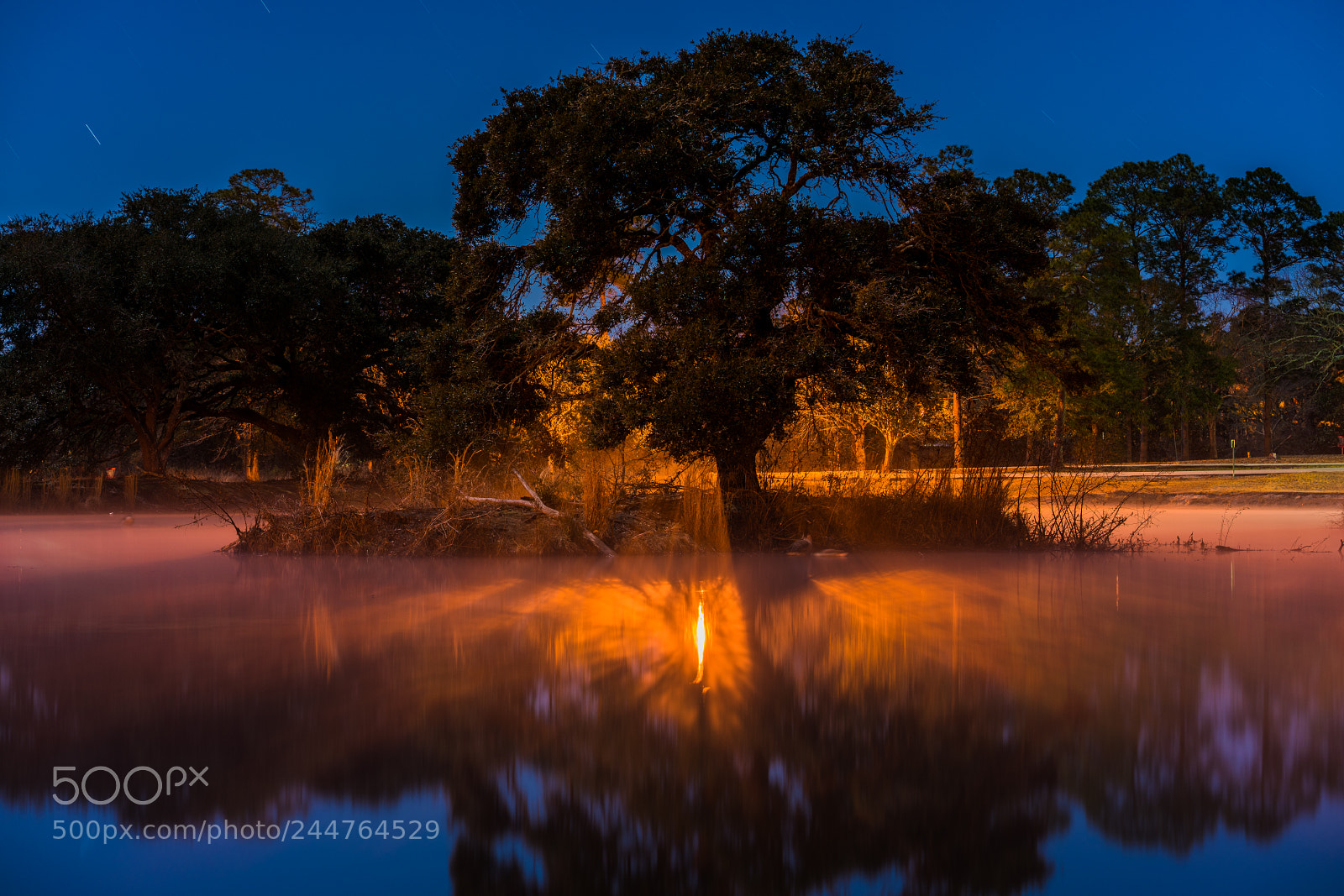 Sony a7R II sample photo. Mist on the water photography