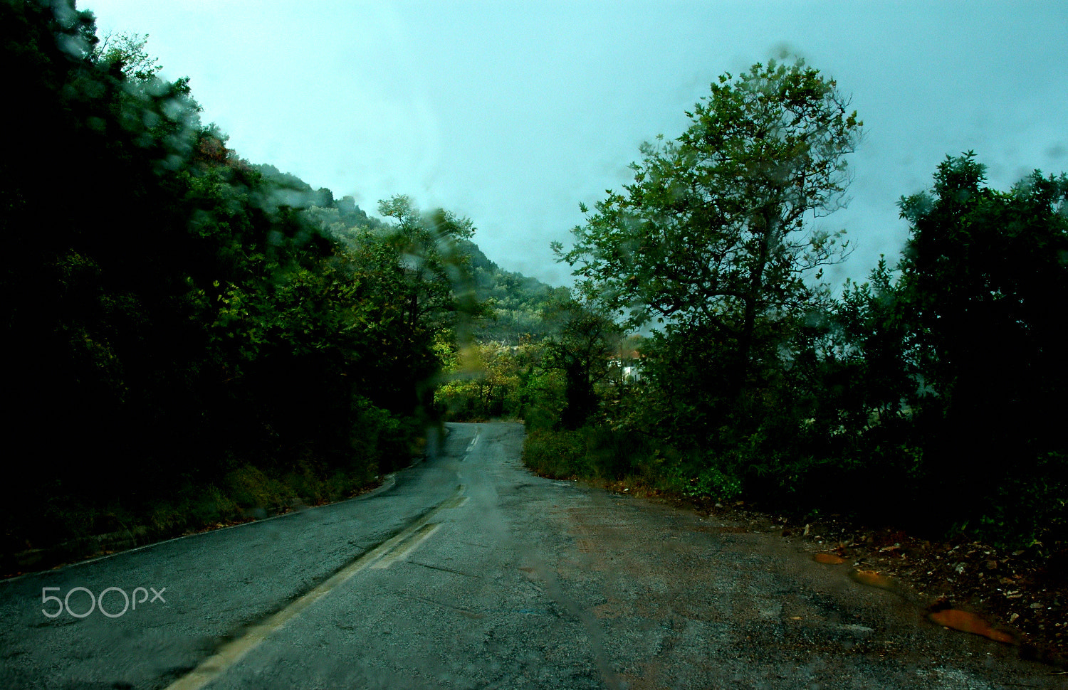 Nikon D70 sample photo. Untitled photography