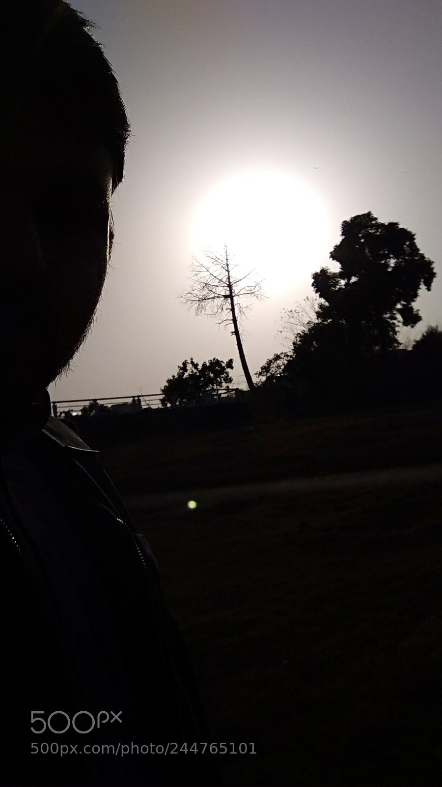 Xiaomi Redmi Note 4 sample photo. Sun and me photography