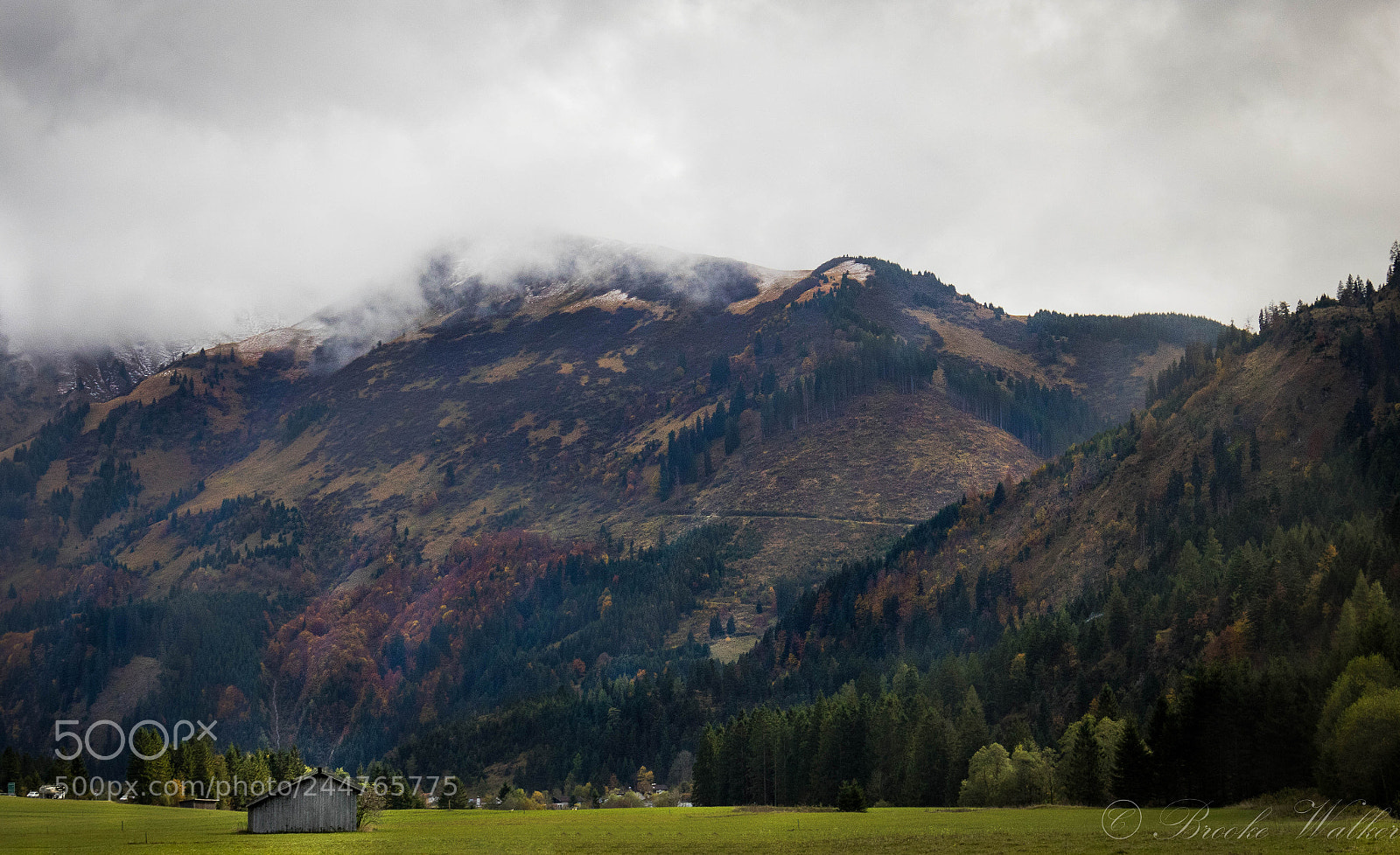 Canon EOS 750D (EOS Rebel T6i / EOS Kiss X8i) sample photo. Little house photography