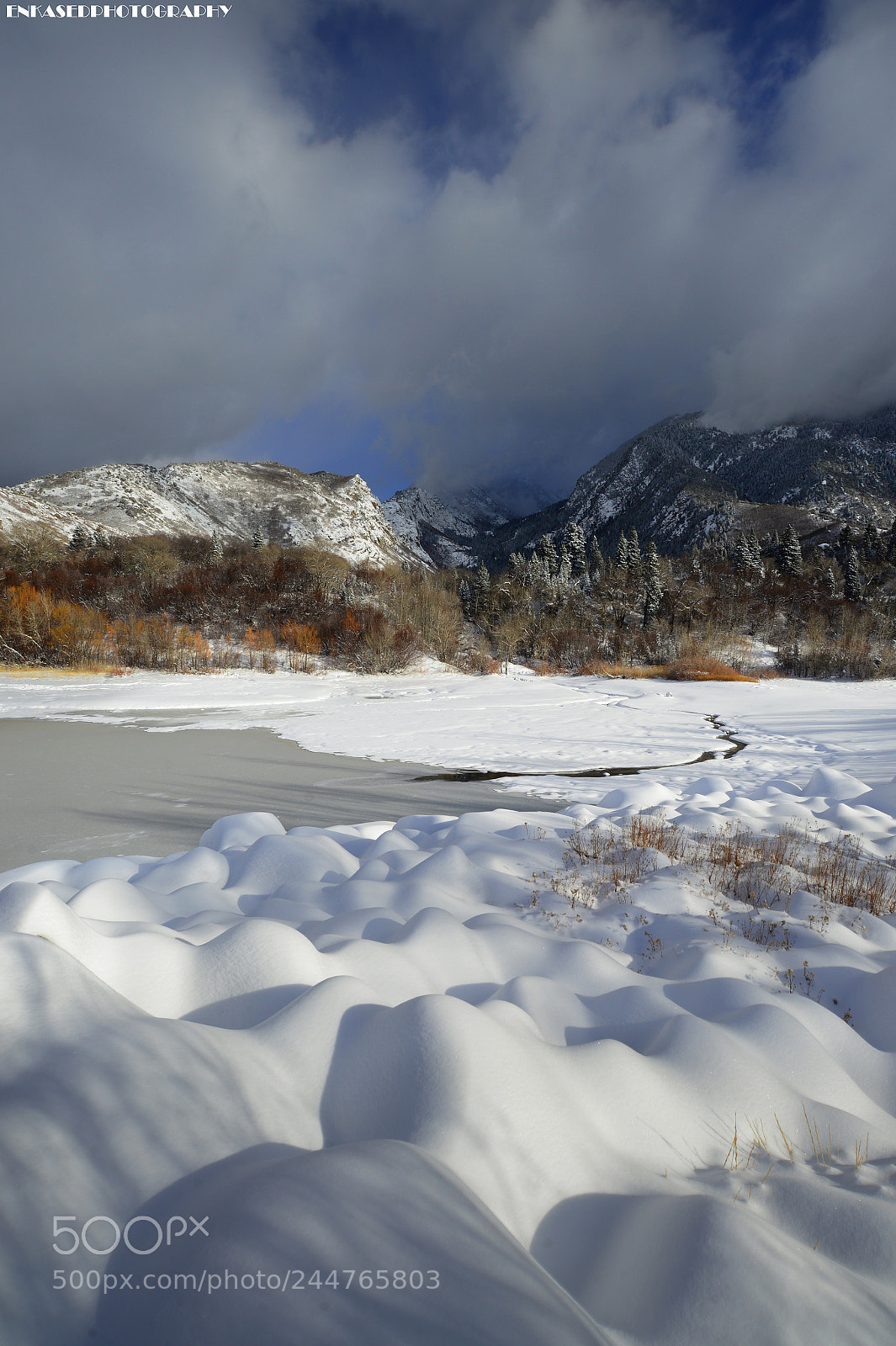 Nikon D600 sample photo. Bells in winter photography