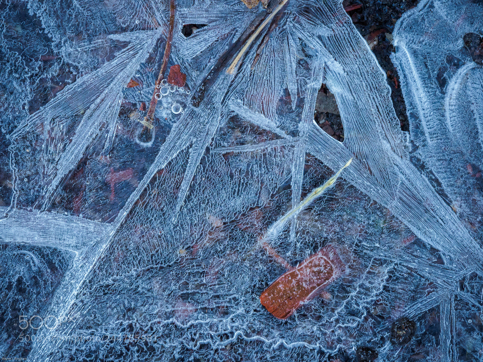 Olympus OM-D E-M1 Mark II sample photo. Ice patterns iii photography