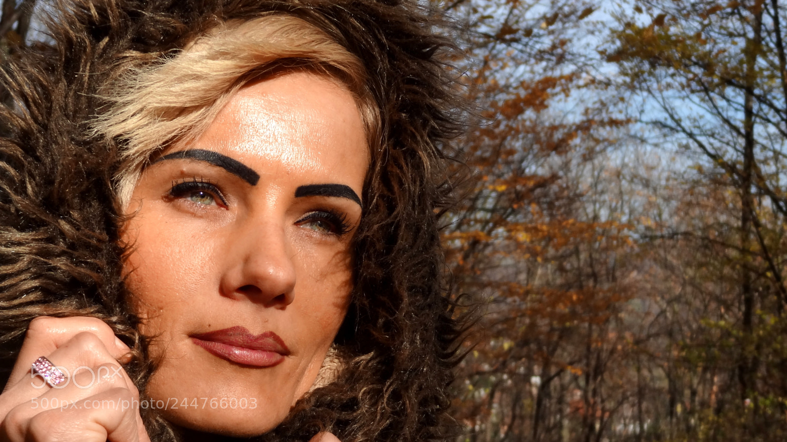 Sony Cyber-shot DSC-HX9V sample photo. Retdsc photography