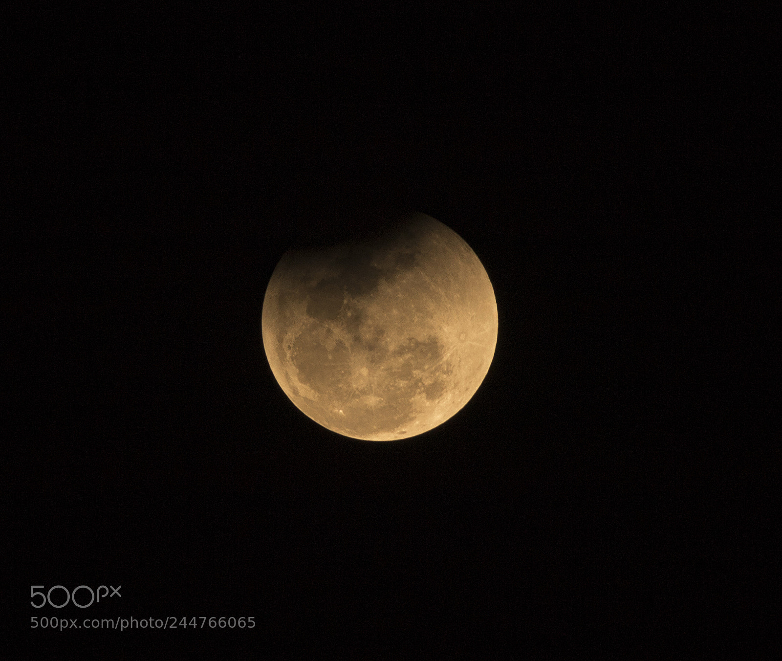 Canon EOS 750D (EOS Rebel T6i / EOS Kiss X8i) sample photo. Super blue blood moon photography