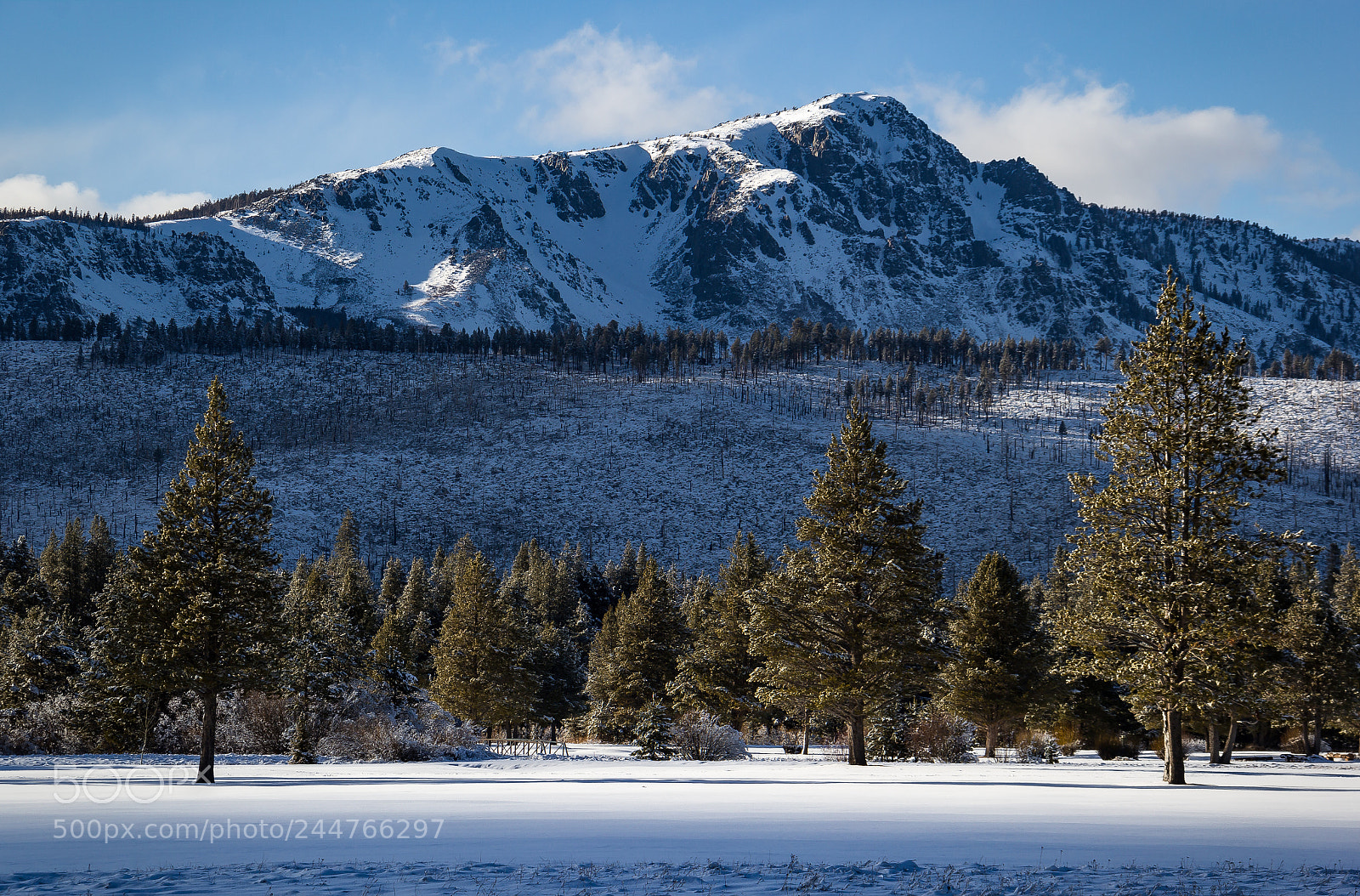 Canon EOS 60D sample photo. Simple winter scene photography