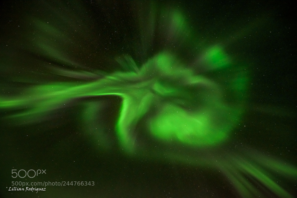 Nikon D810 sample photo. Color burst photography