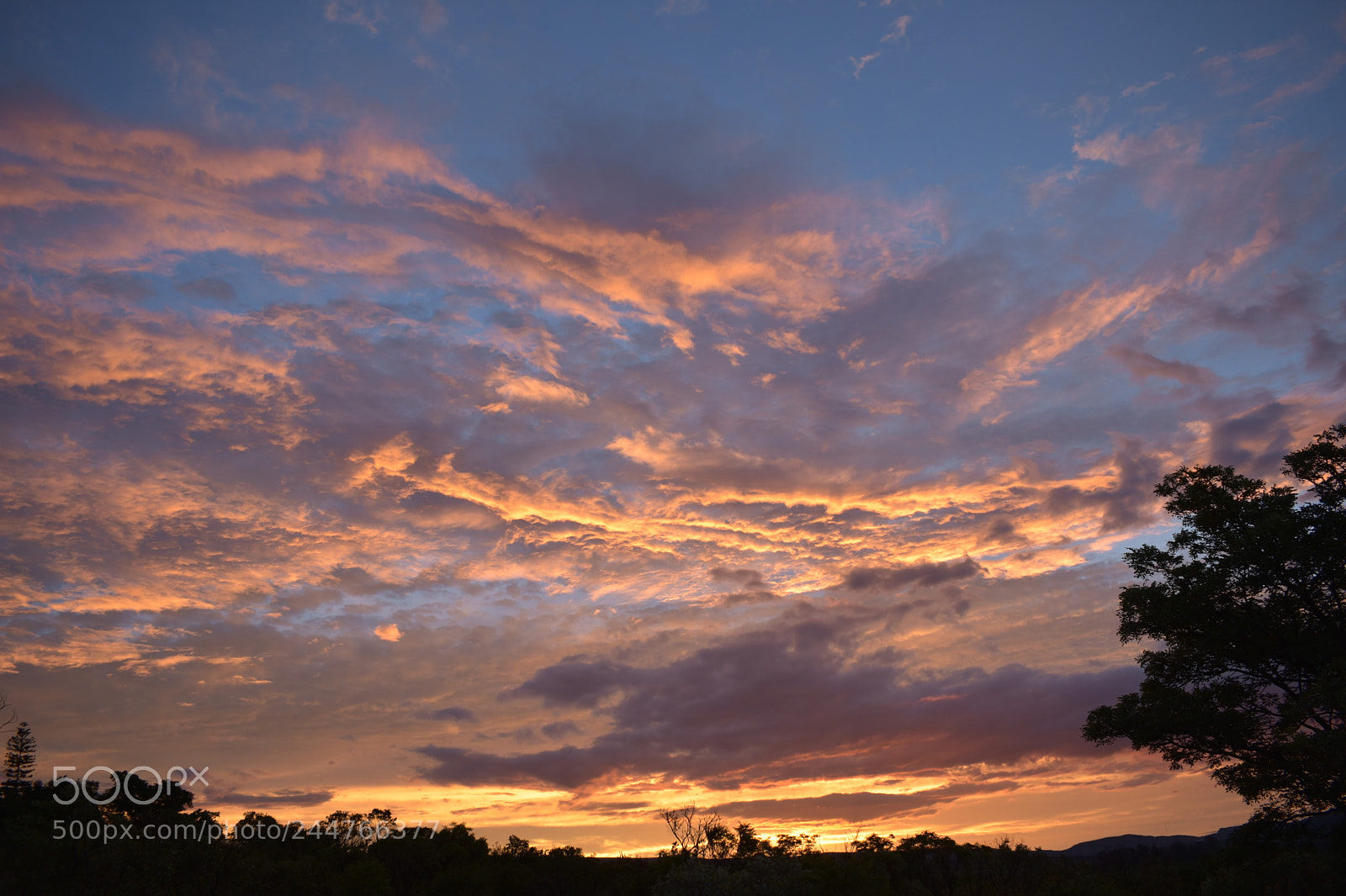 Nikon D3400 sample photo. Sunset in nature photography