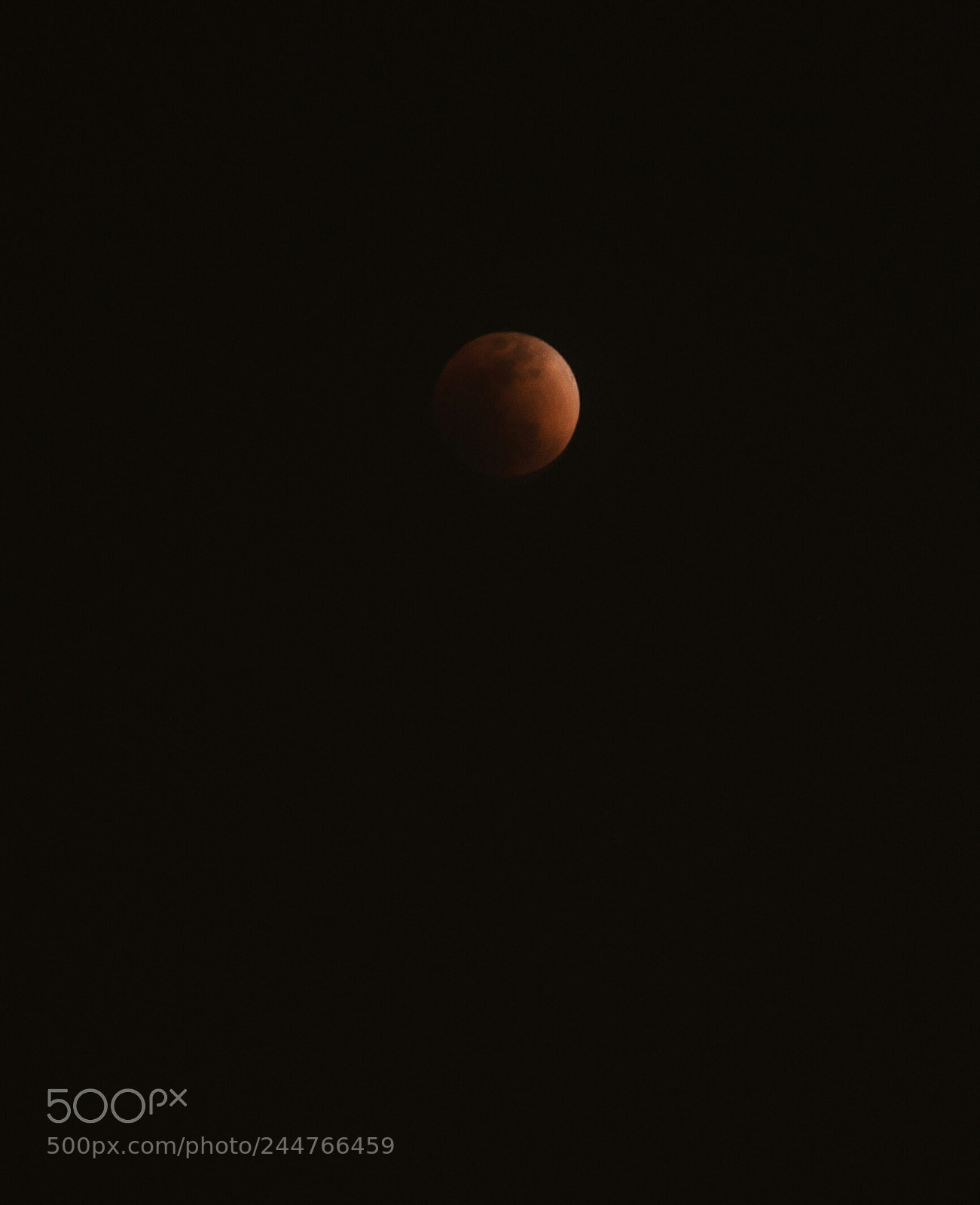 Nikon D7200 sample photo. 血月 photography