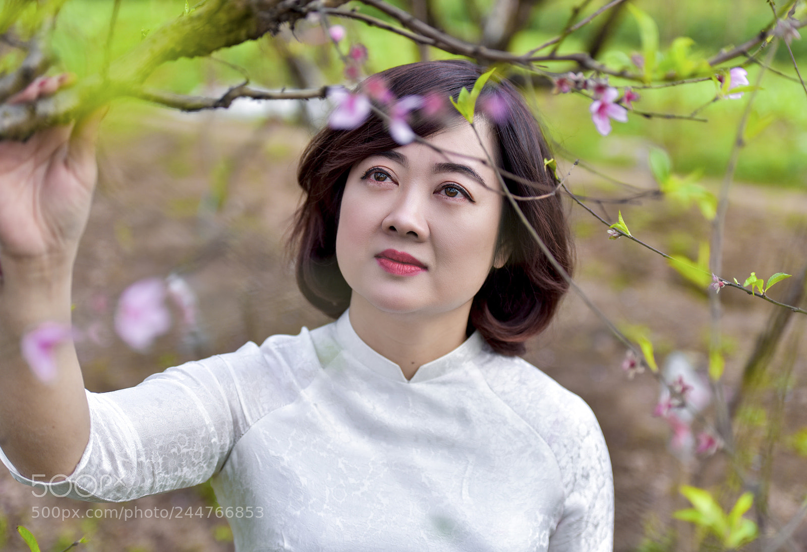 Nikon D810 sample photo. Untitled photography