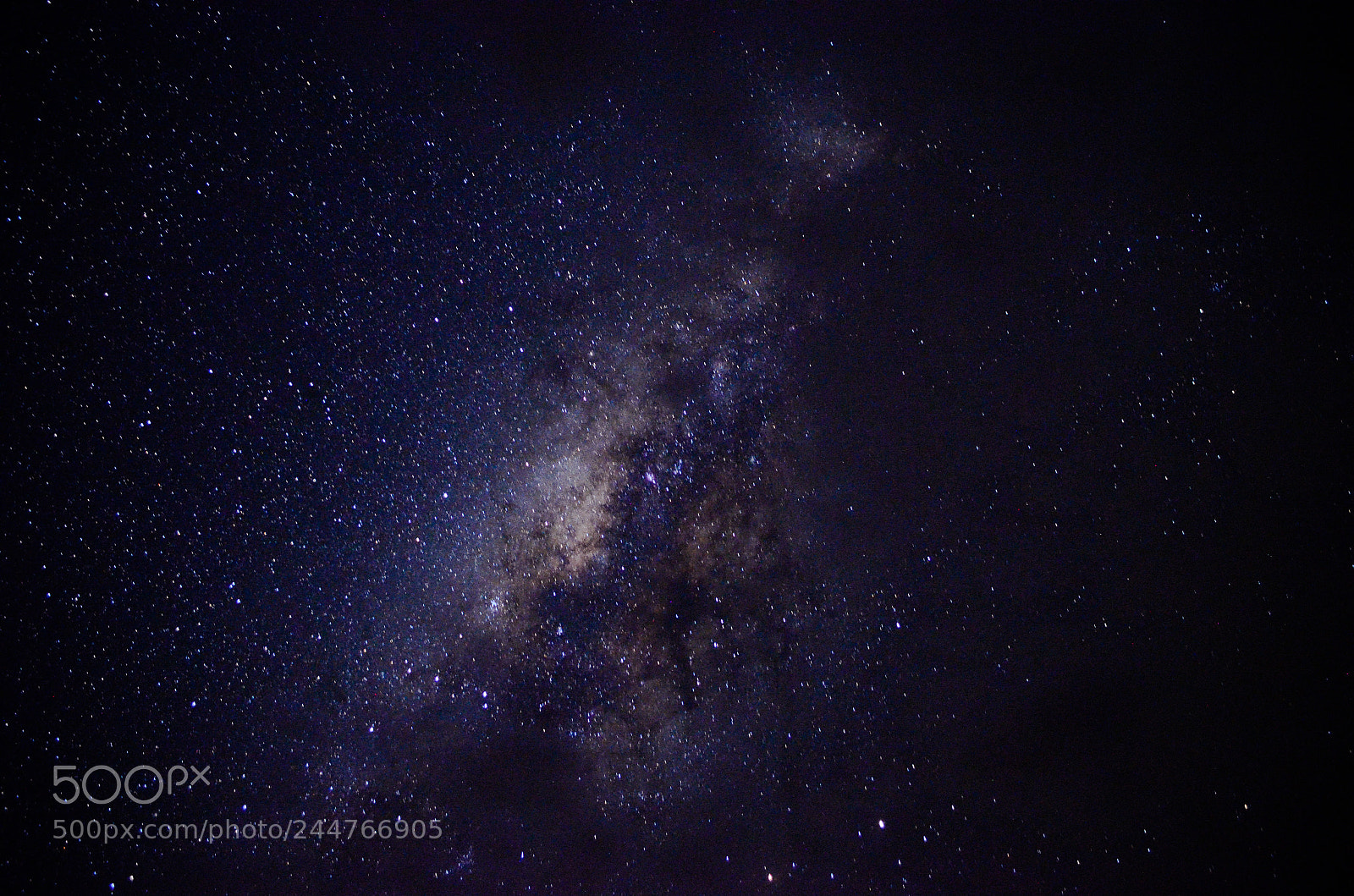 Nikon D5100 sample photo. Untitled photography