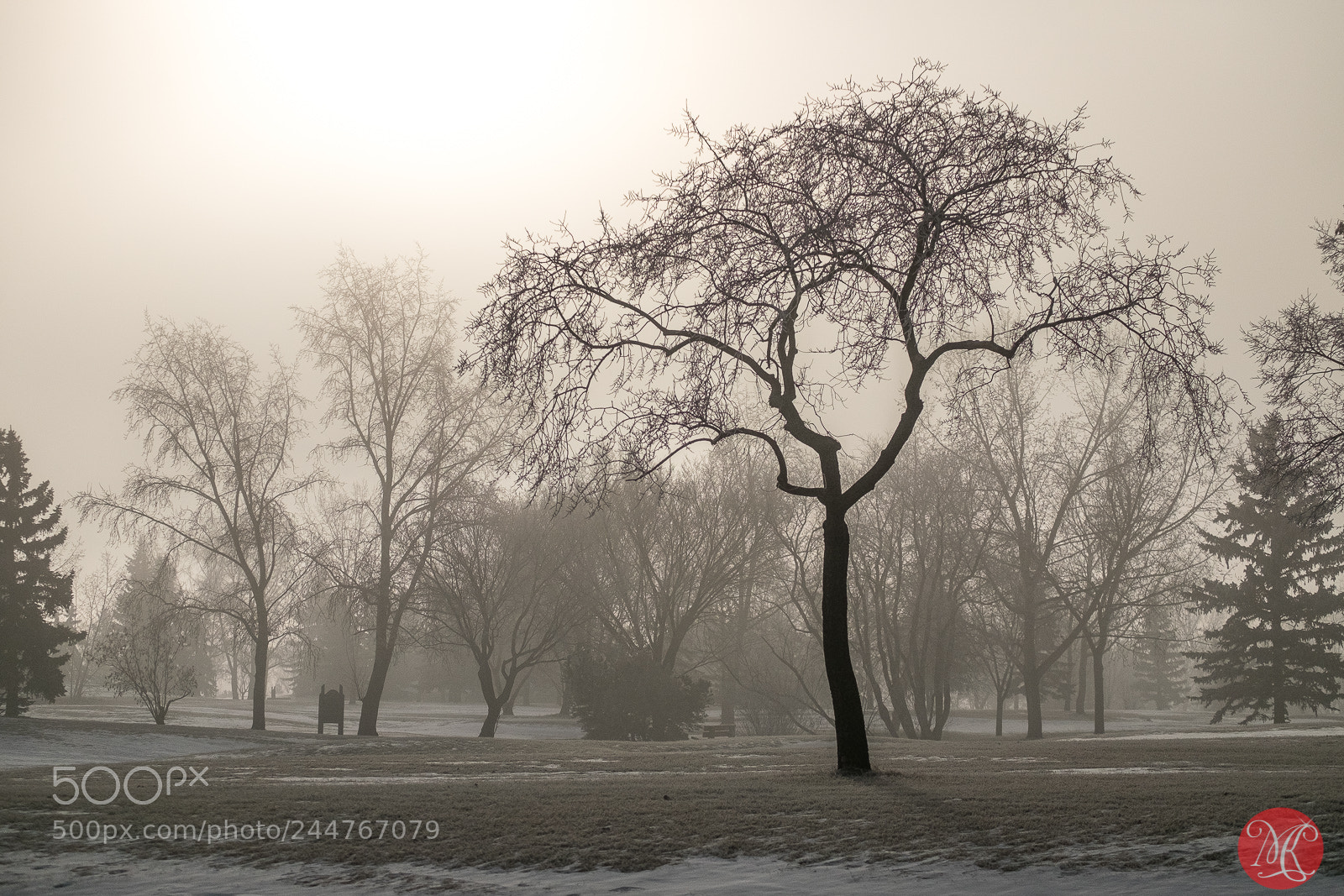 Fujifilm X-T1 sample photo. Winter gloom photography