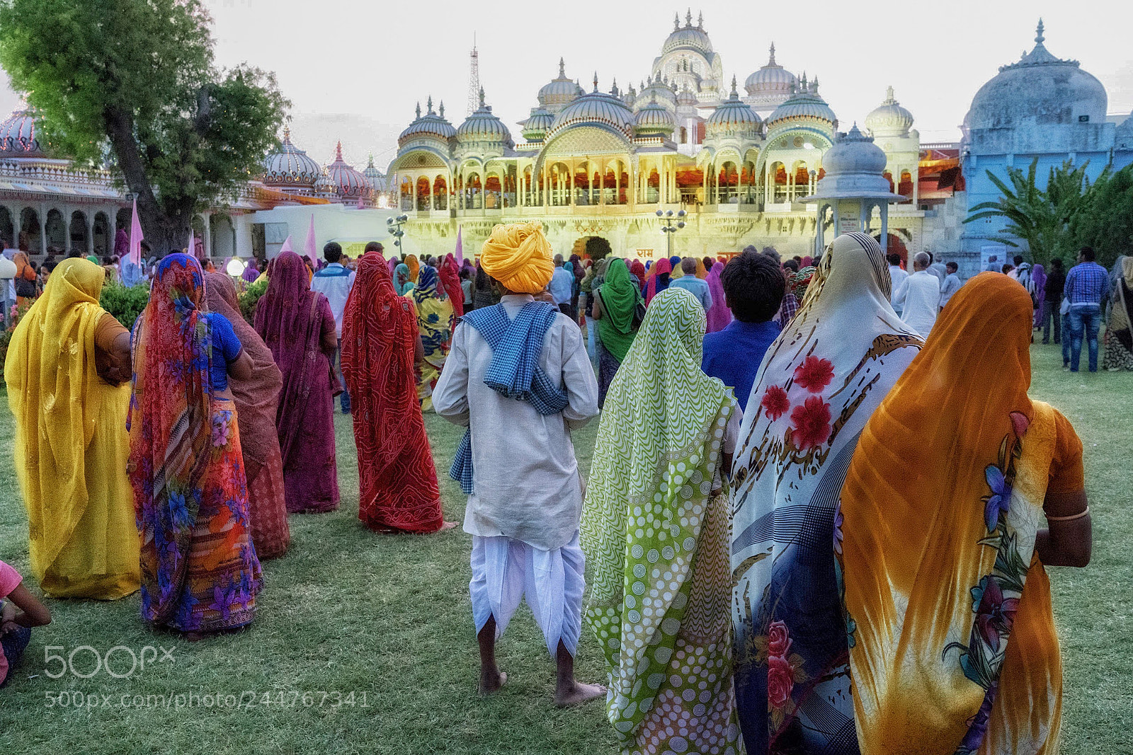 Sony a7R II sample photo. Shahpura hindu temple photography