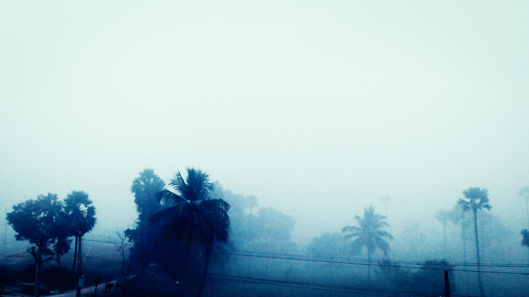 Micromax Canvas Spark sample photo. Mystery mist photography