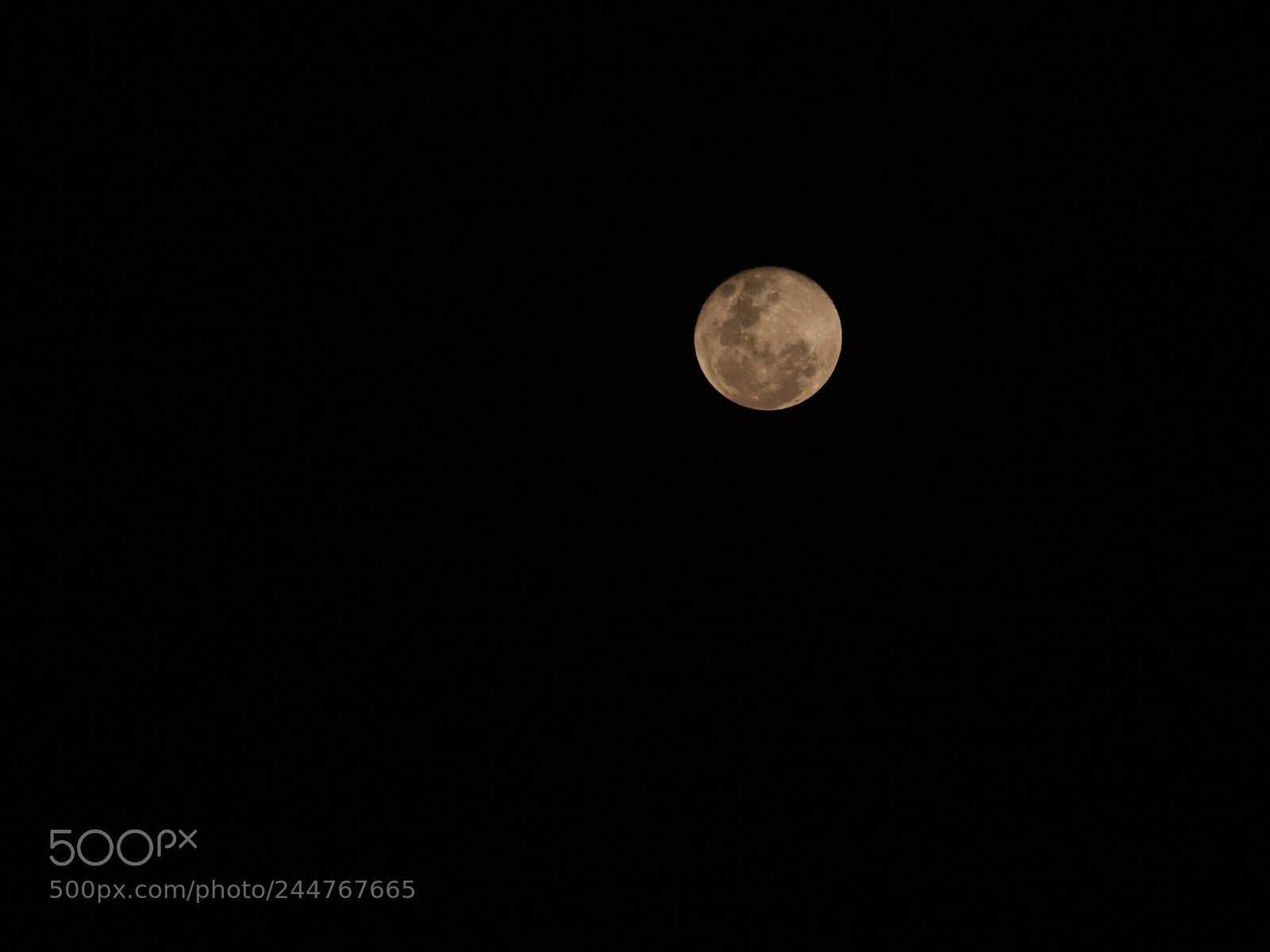 Canon EF-S 55-250mm F4-5.6 IS II sample photo. Untitled photography