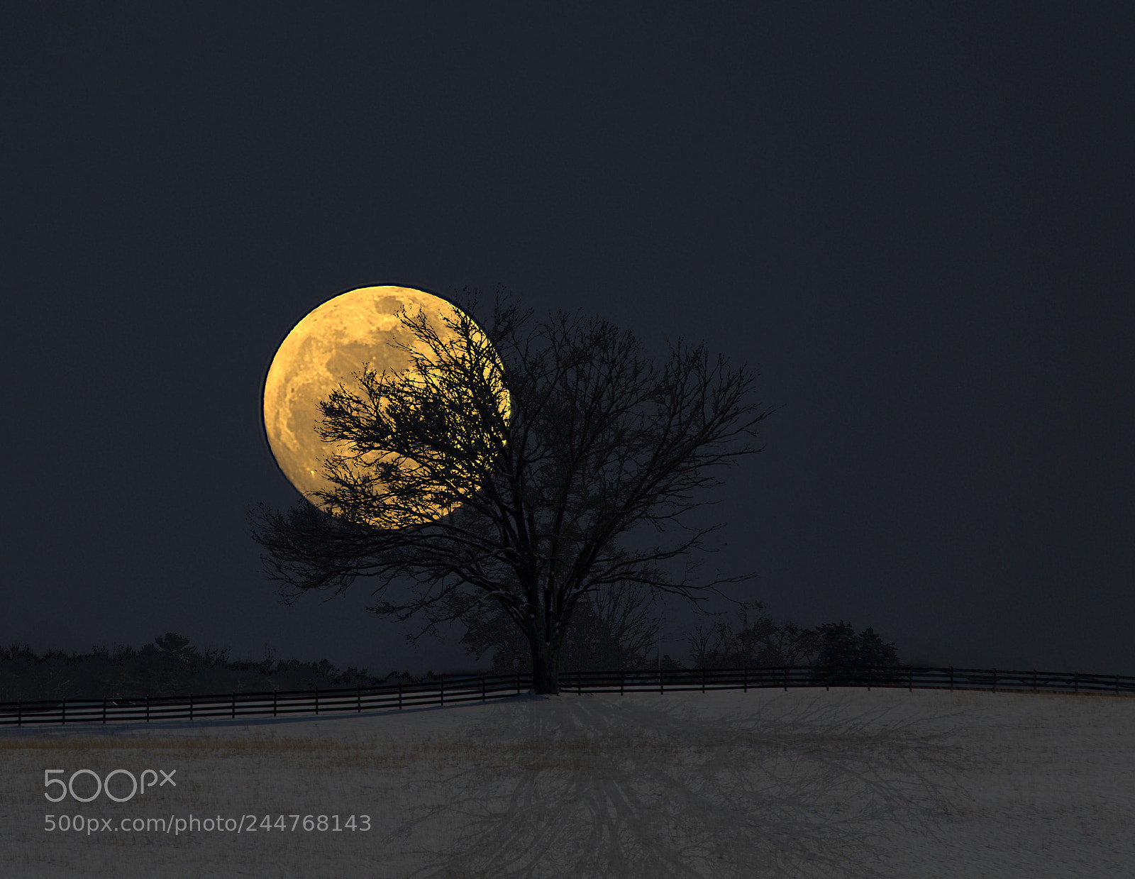 Pentax K-3 sample photo. When my blue moon photography