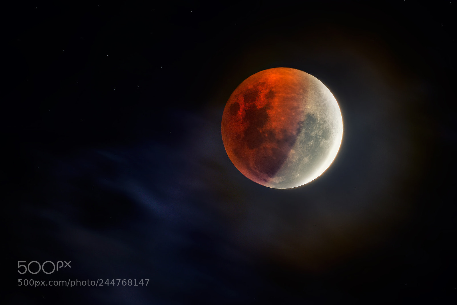 Nikon D810 sample photo. Super blue blood moon photography