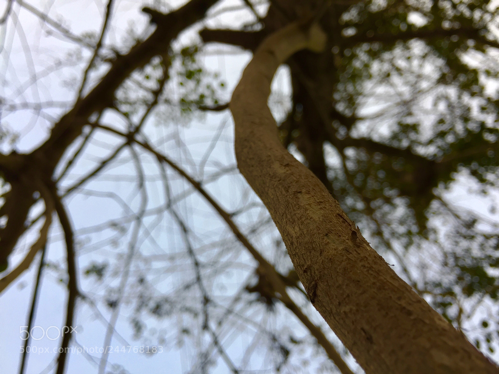 Apple iPhone 6 sample photo. Untitled photography